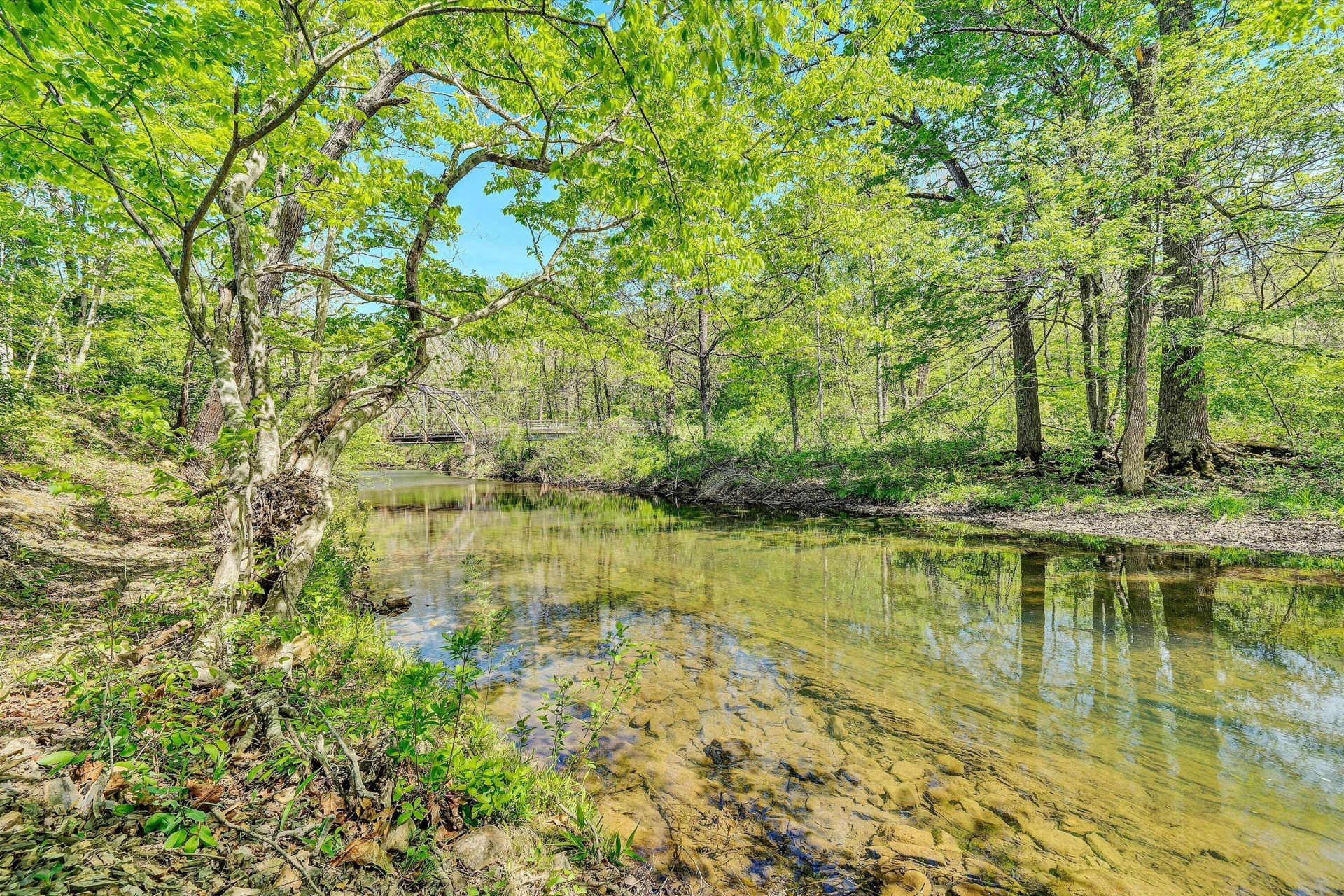 109 Berties Bottom LN - Photo 64