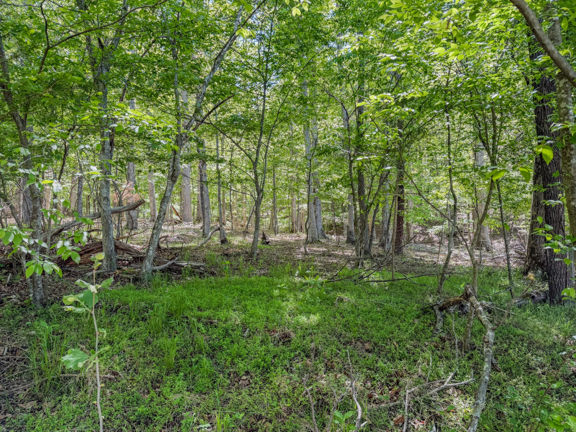 0 Hardy RD - Photo 5
