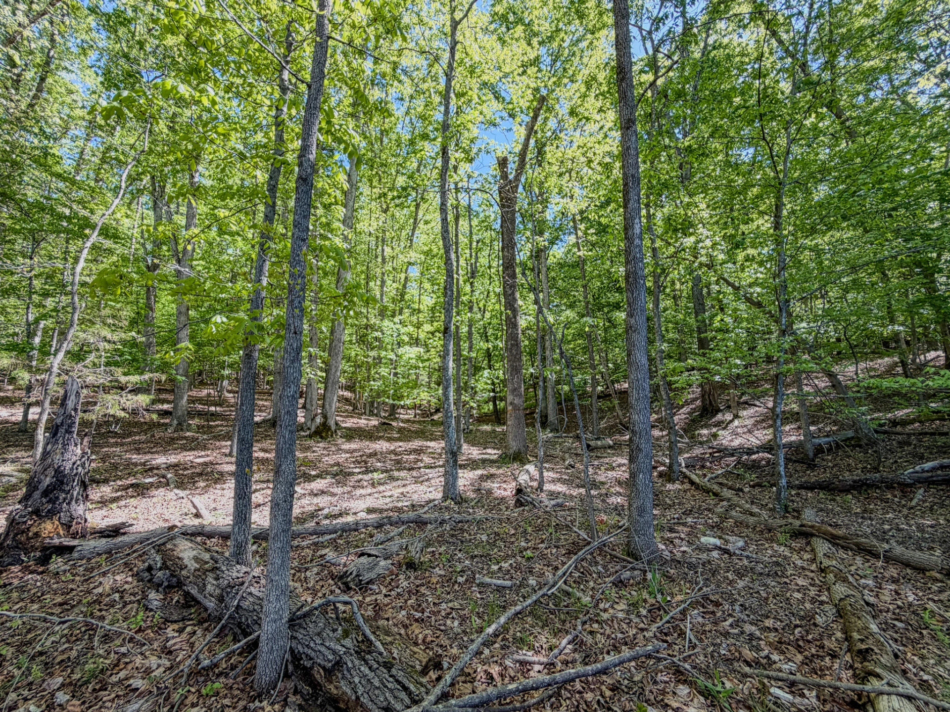0 Hardy RD - Photo 6