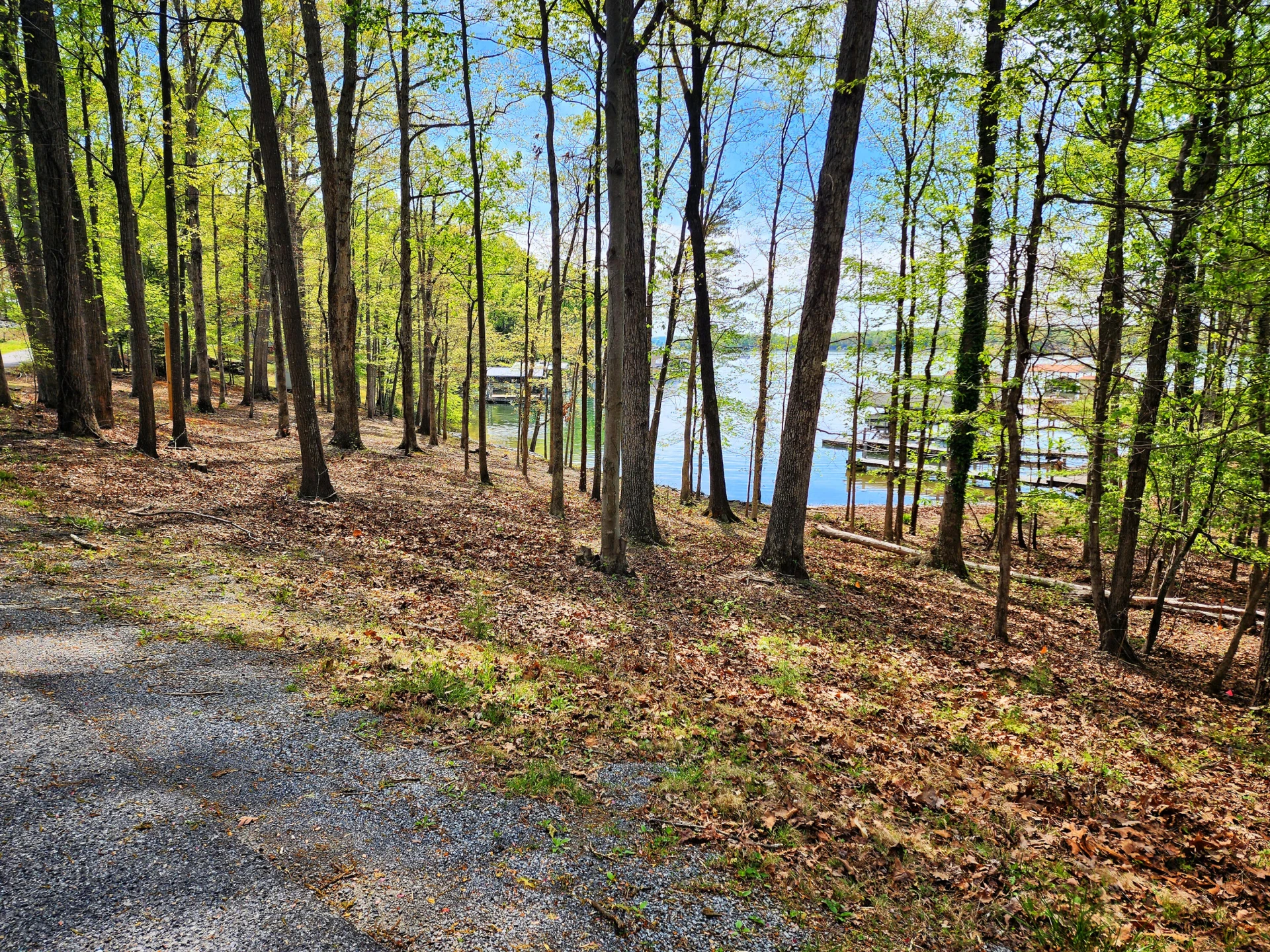 lot 45 Lee Dr. - Photo 4