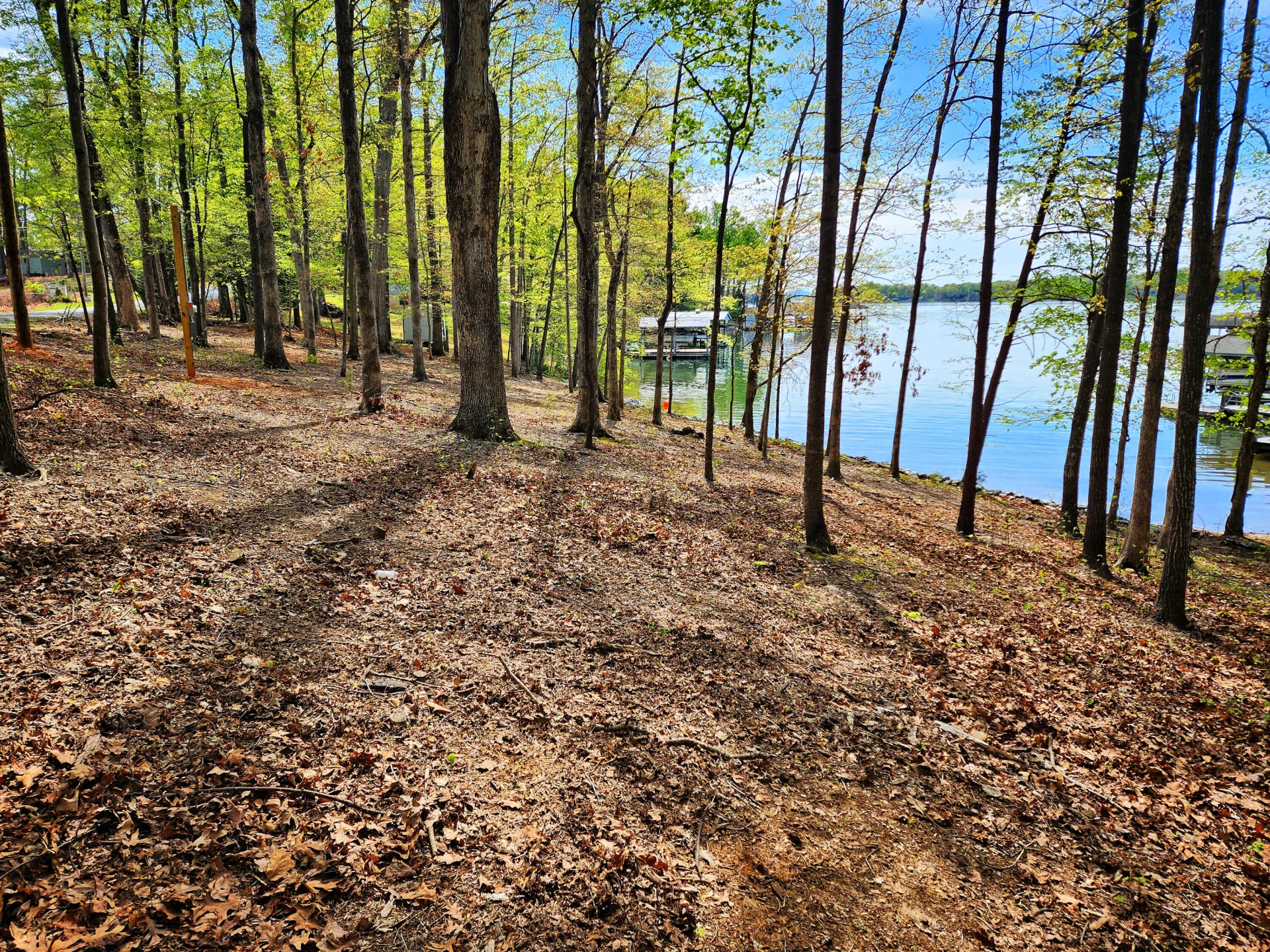 lot 45 Lee Dr. - Photo 5