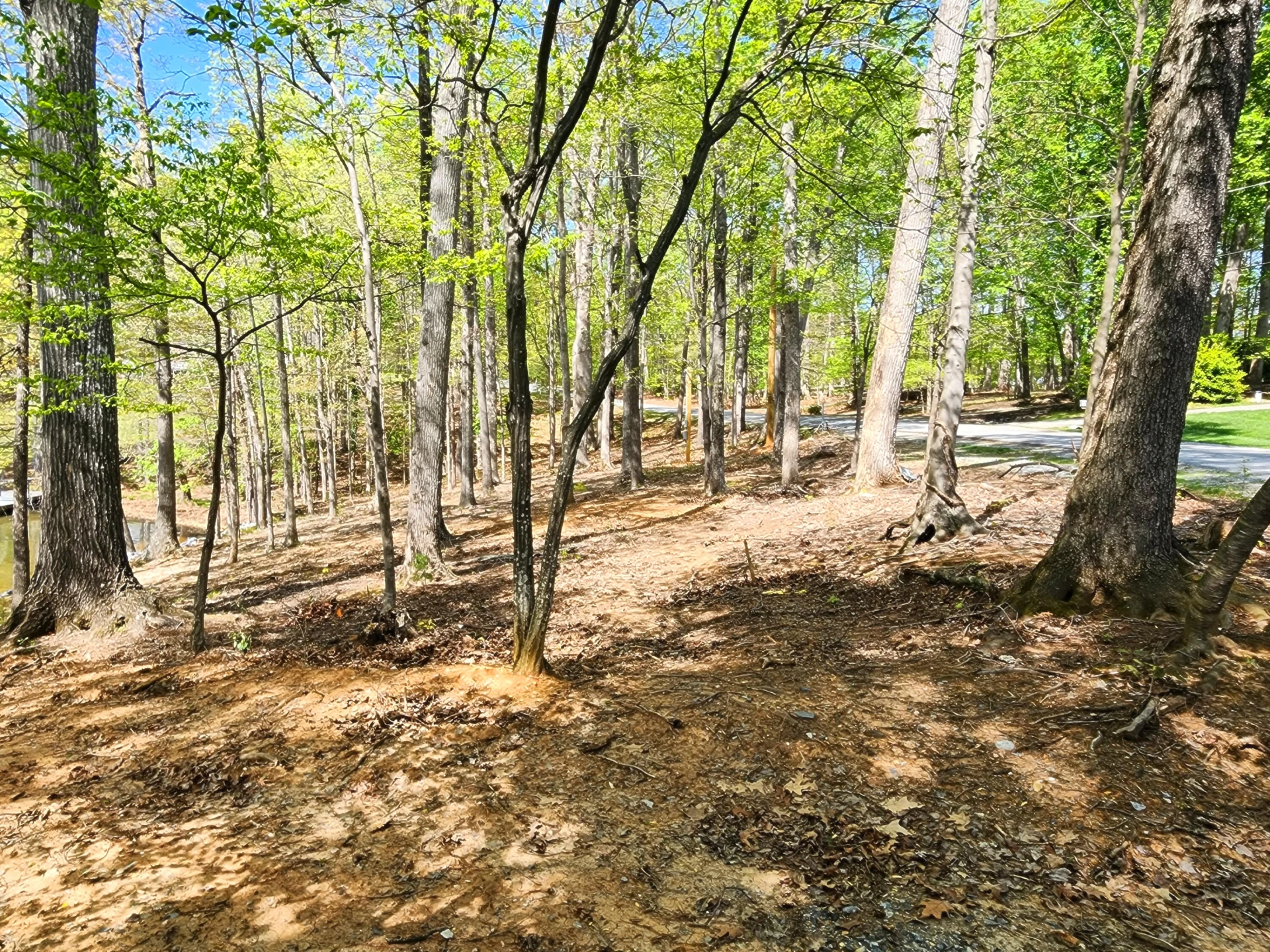lot 45 Lee Dr. - Photo 6