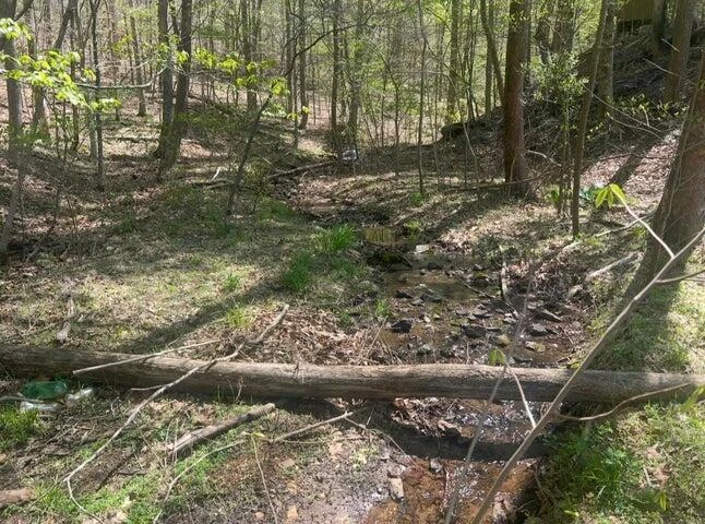 Lot 5 Blackwater Landing DR - Photo 17