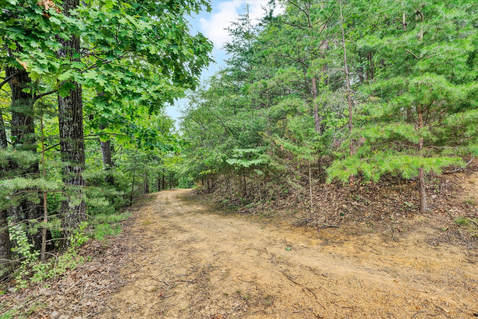 102 Keswick Farm RD - Photo 49