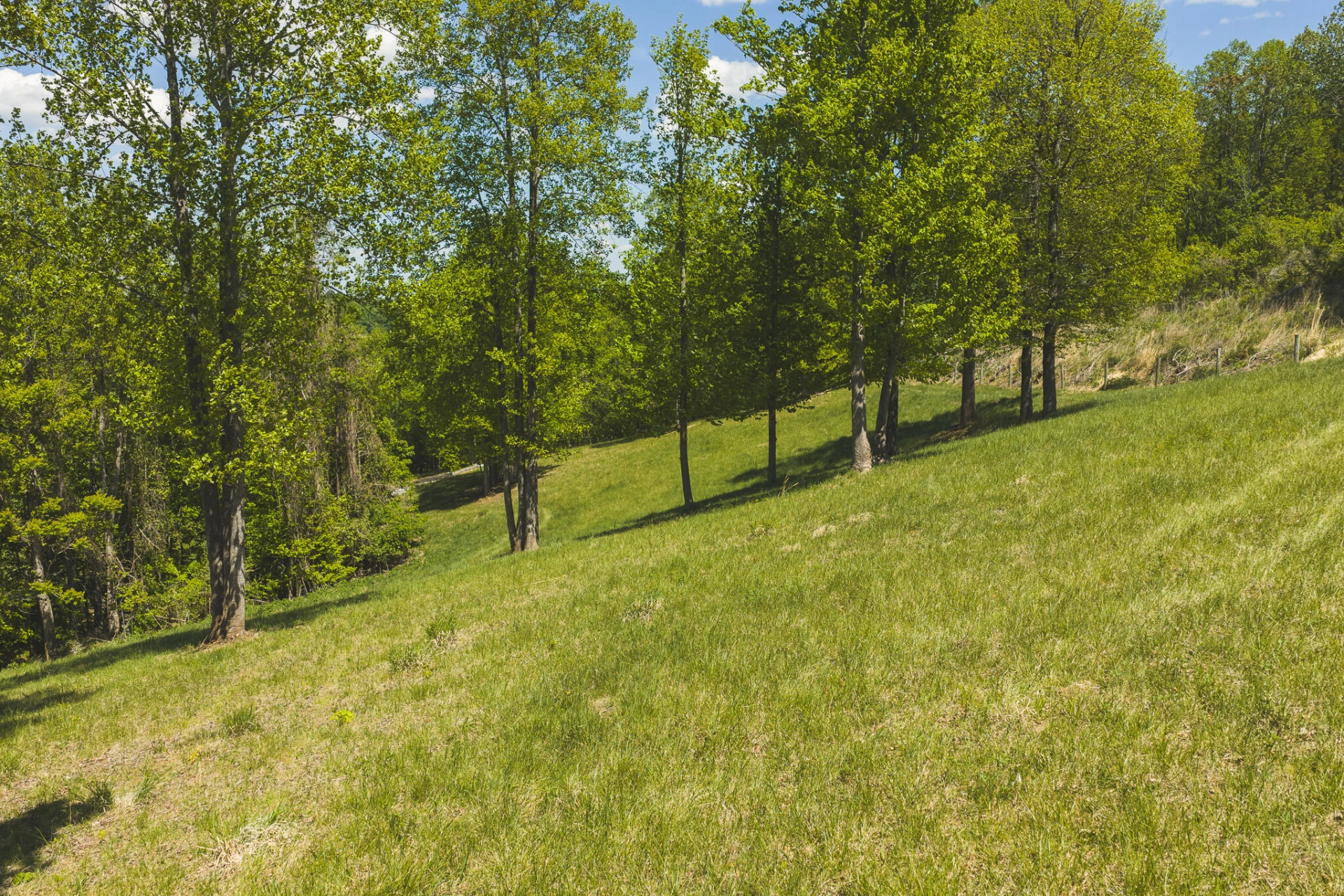 TBD Fishburn Mountain RD - Photo 10
