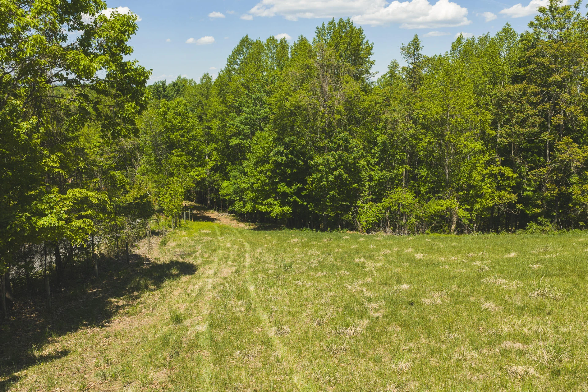TBD Fishburn Mountain RD - Photo 11