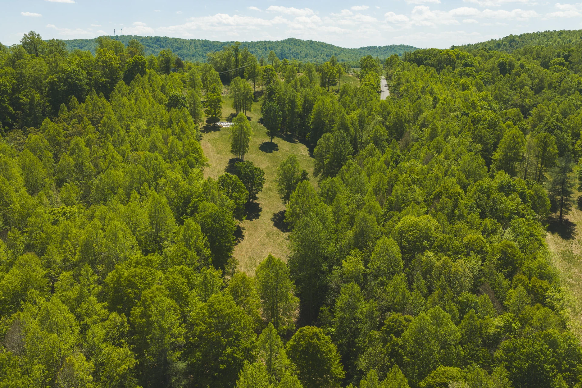 TBD Fishburn Mountain RD - Photo 13