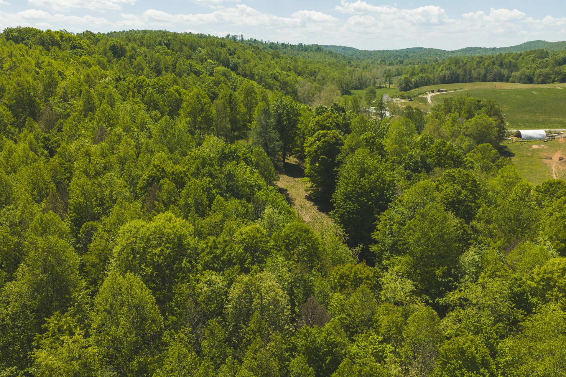 TBD Fishburn Mountain RD - Photo 14