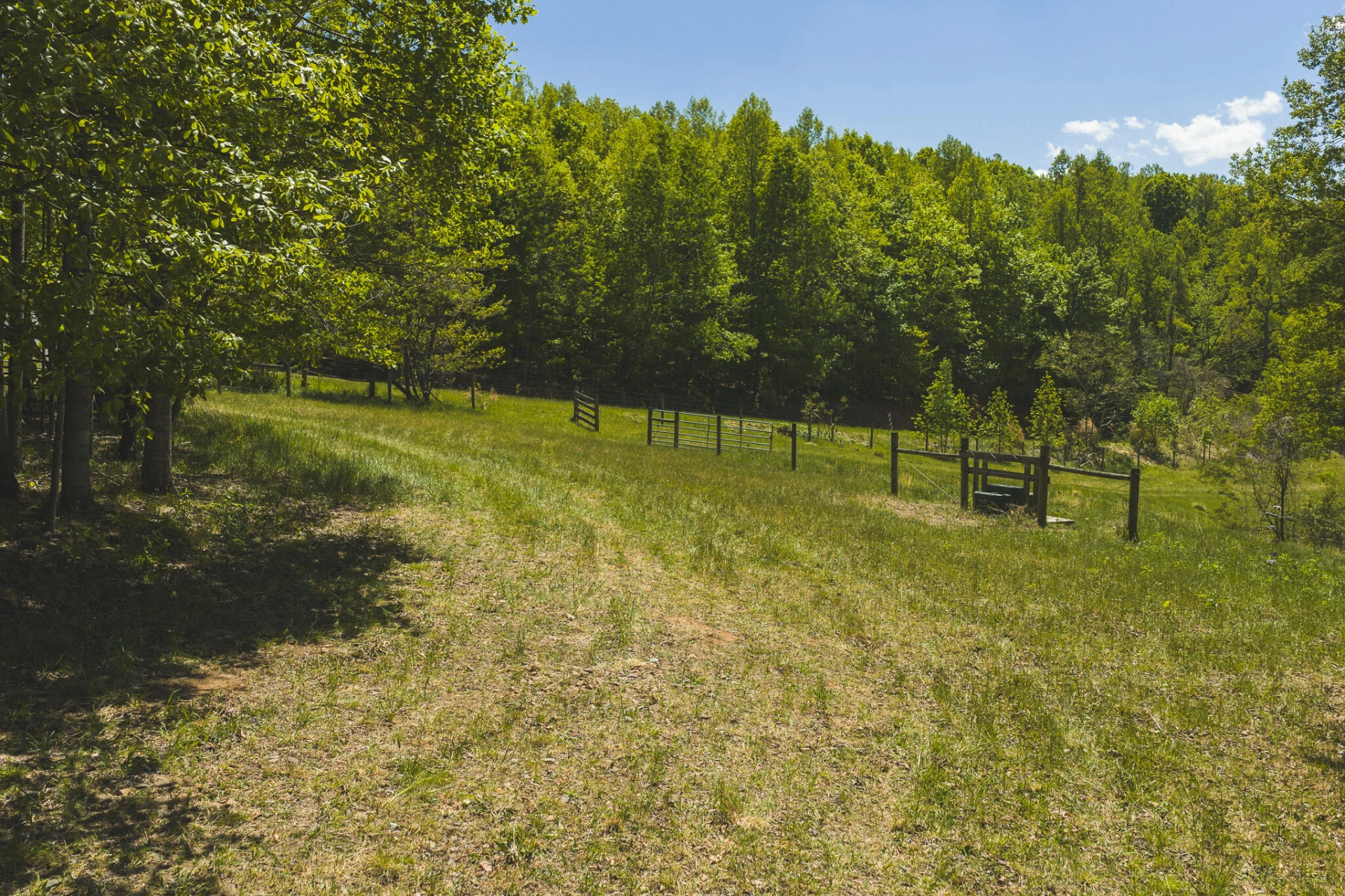 TBD Fishburn Mountain RD - Photo 17