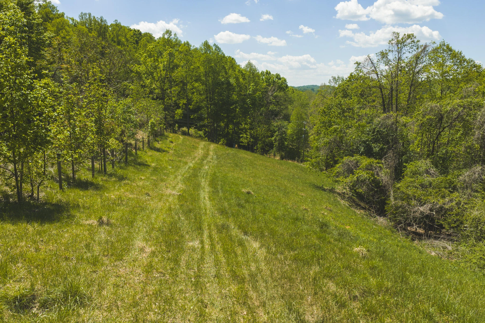 TBD Fishburn Mountain RD - Photo 19