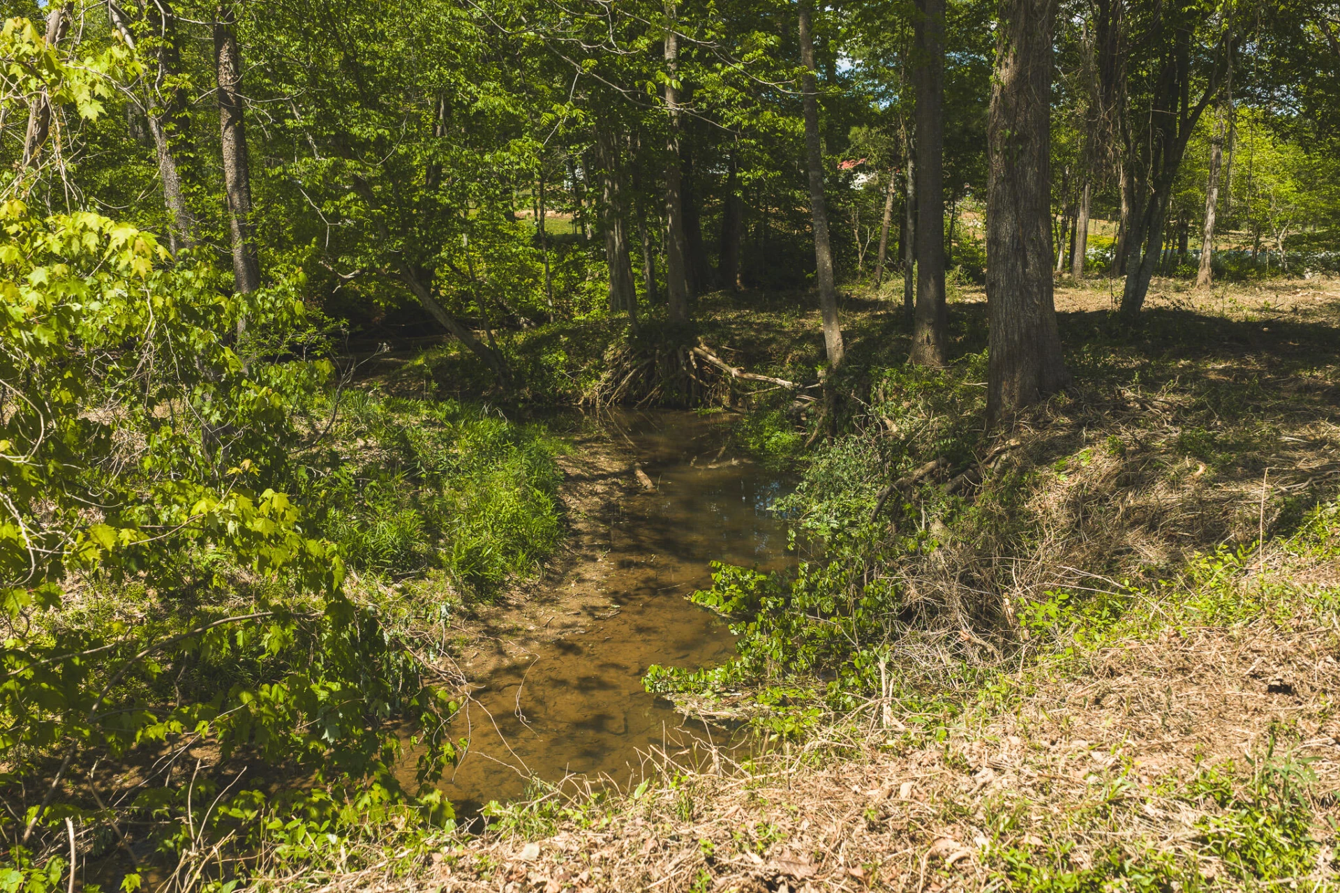 TBD Fishburn Mountain RD - Photo 27