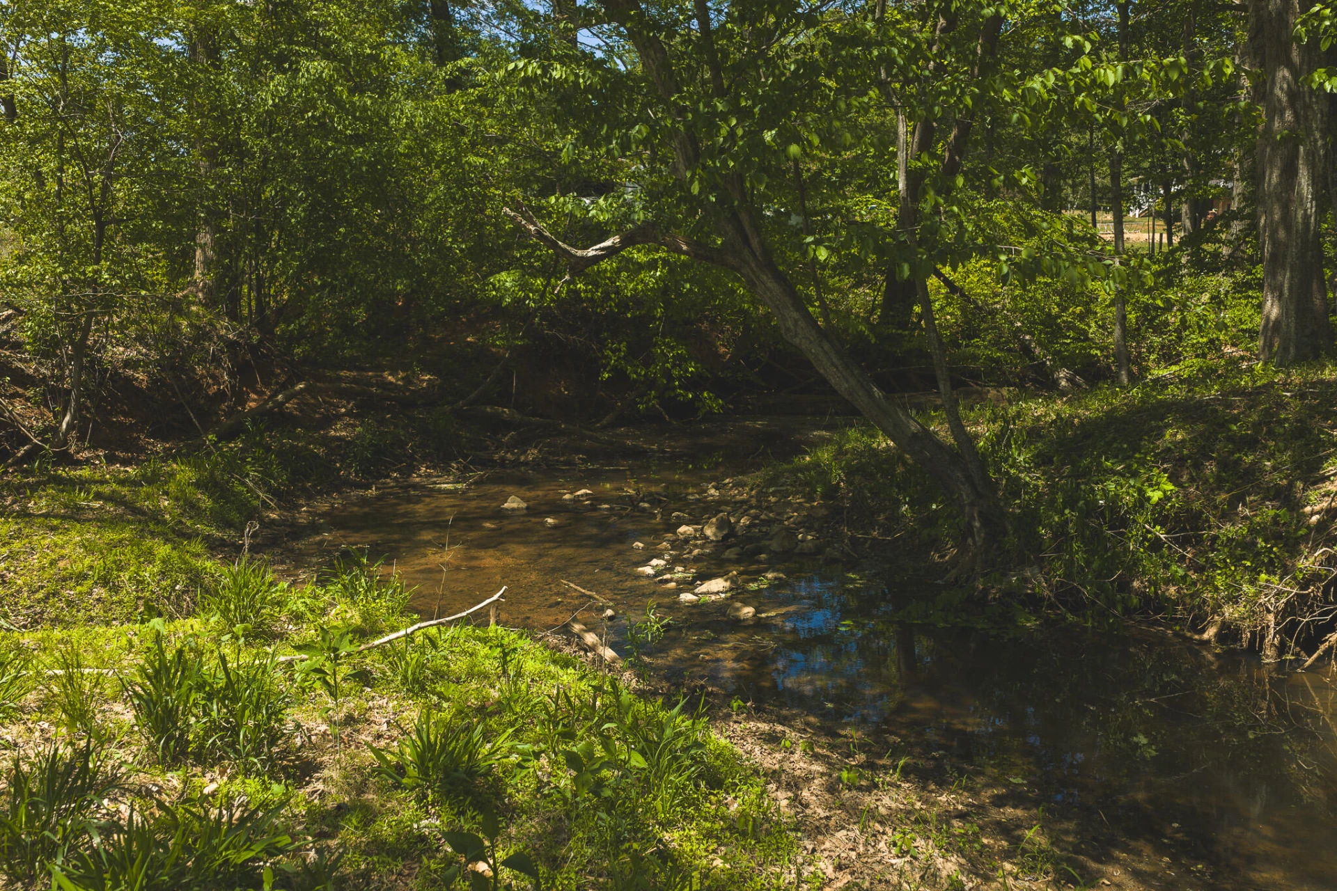 TBD Fishburn Mountain RD - Photo 28