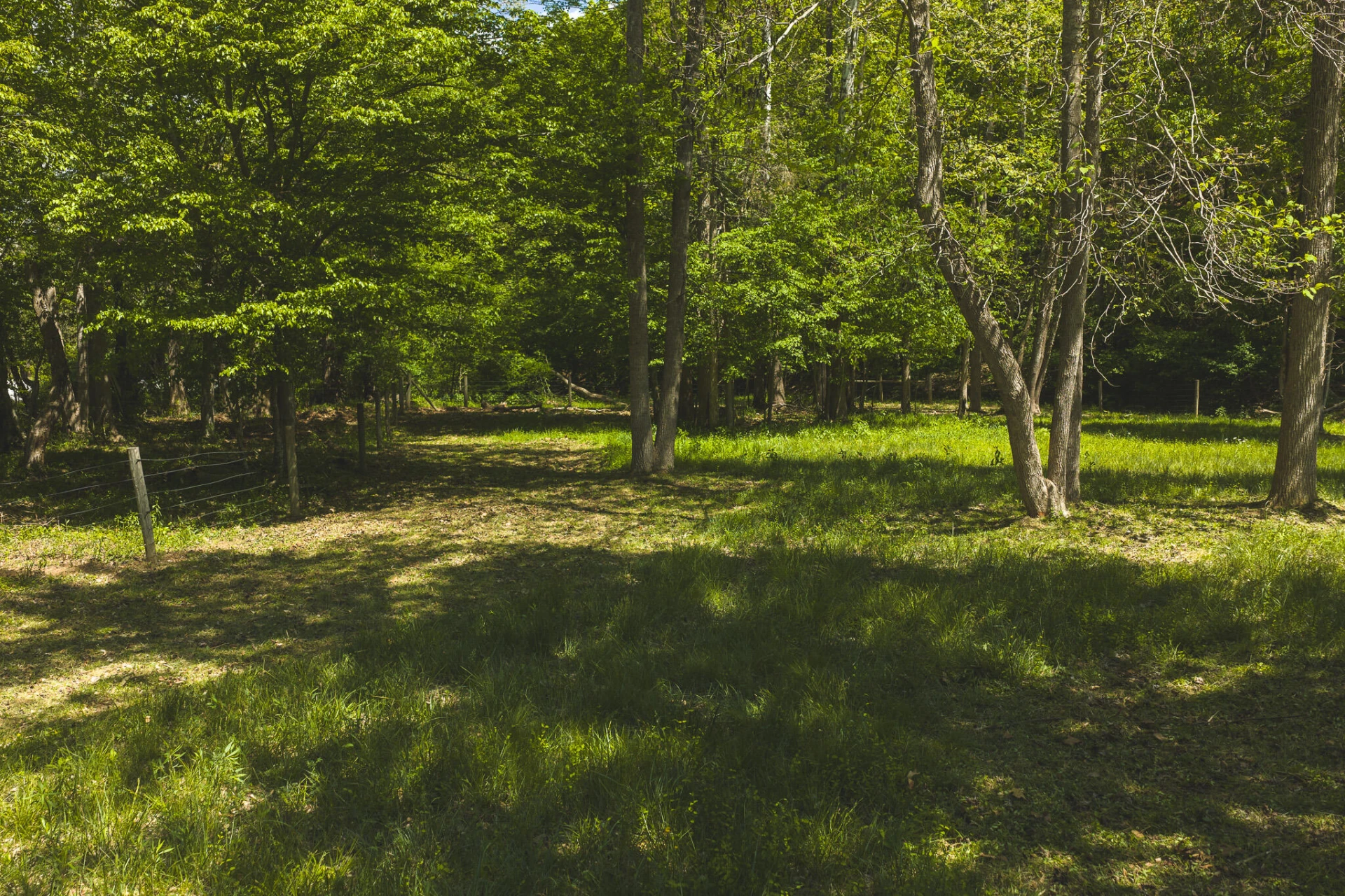 TBD Fishburn Mountain RD - Photo 31