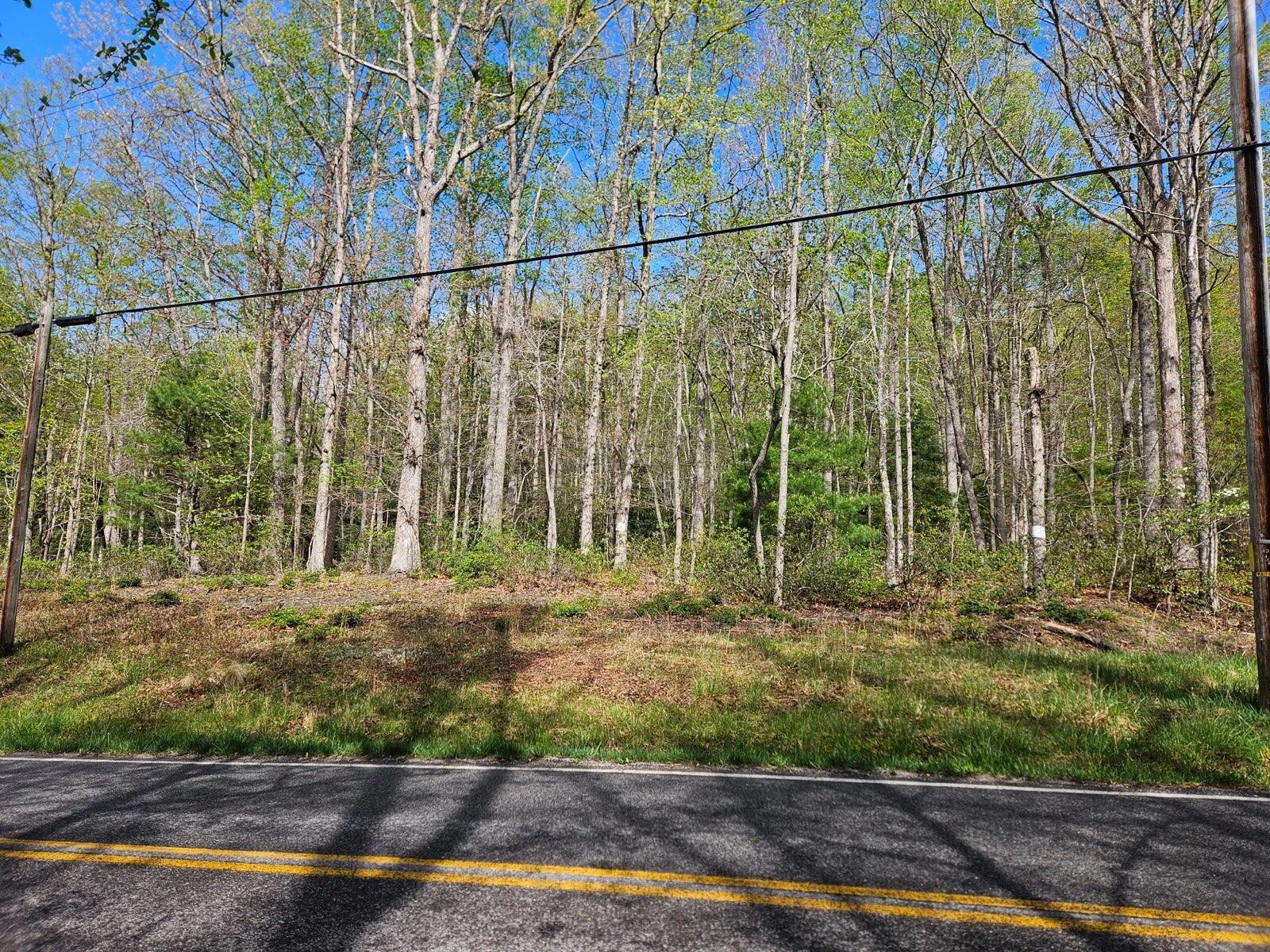 0 Bradshaw RD - Photo 3