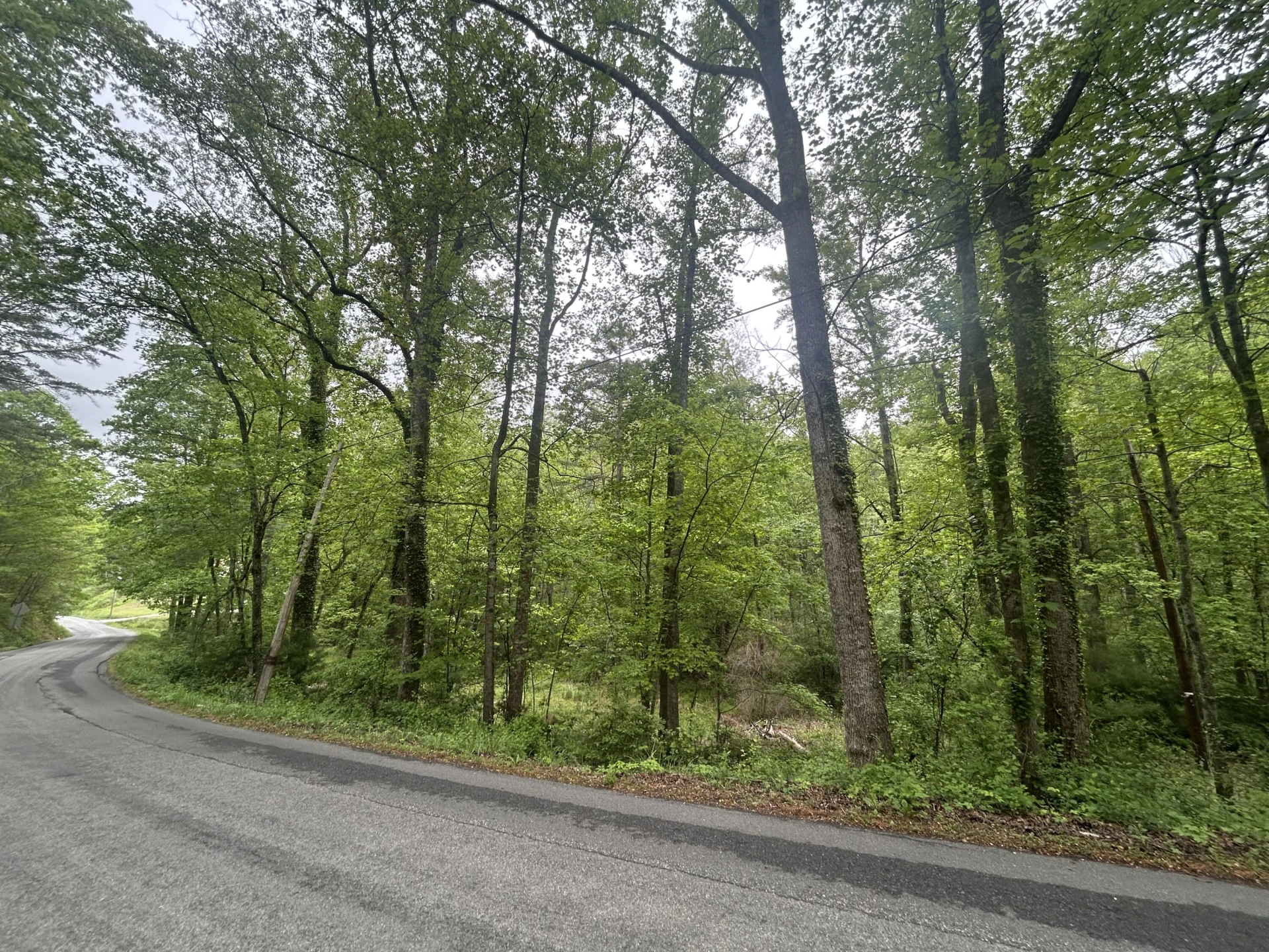 0 Timberview RD
