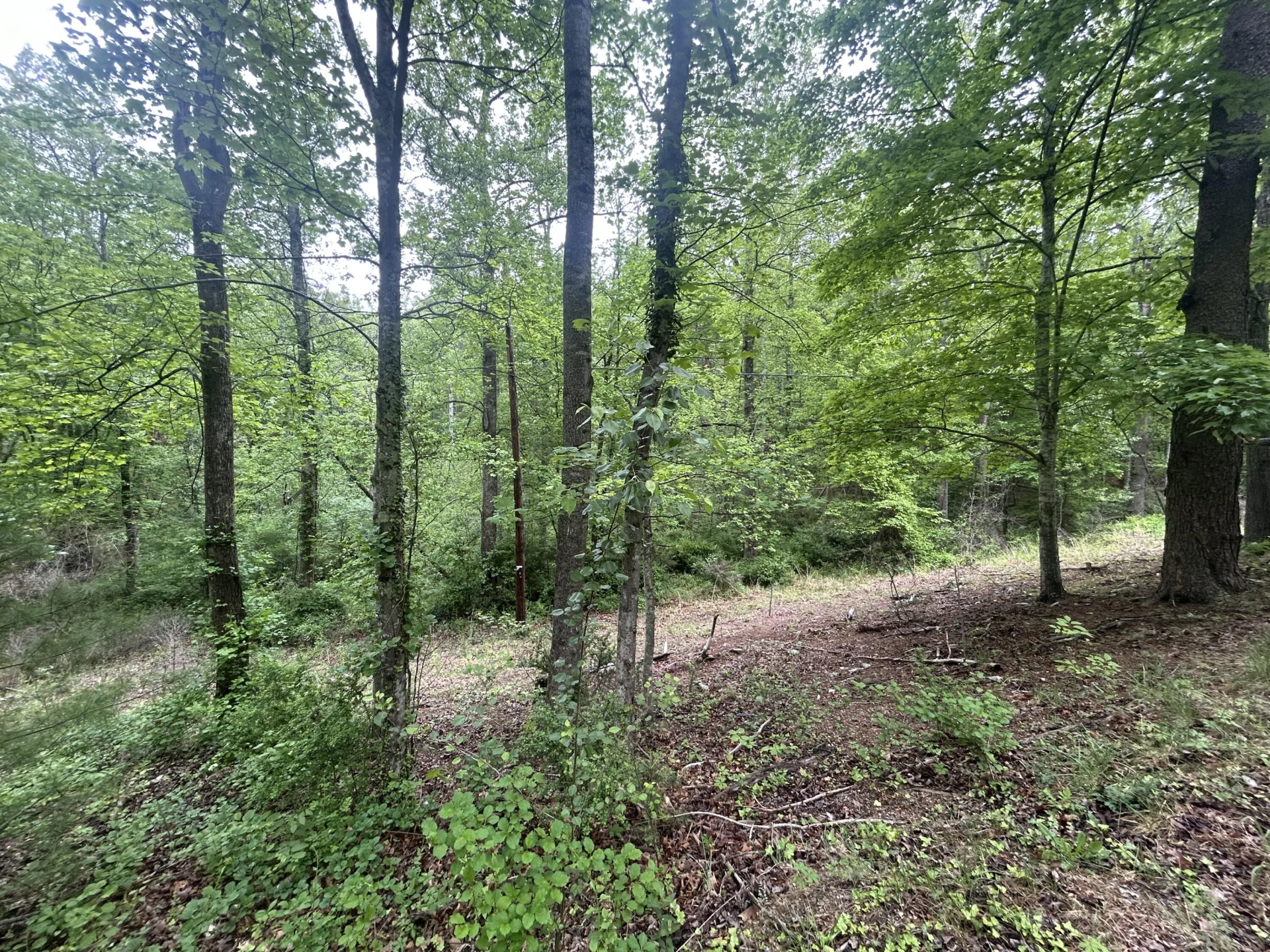 0 Timberview RD - Photo 2