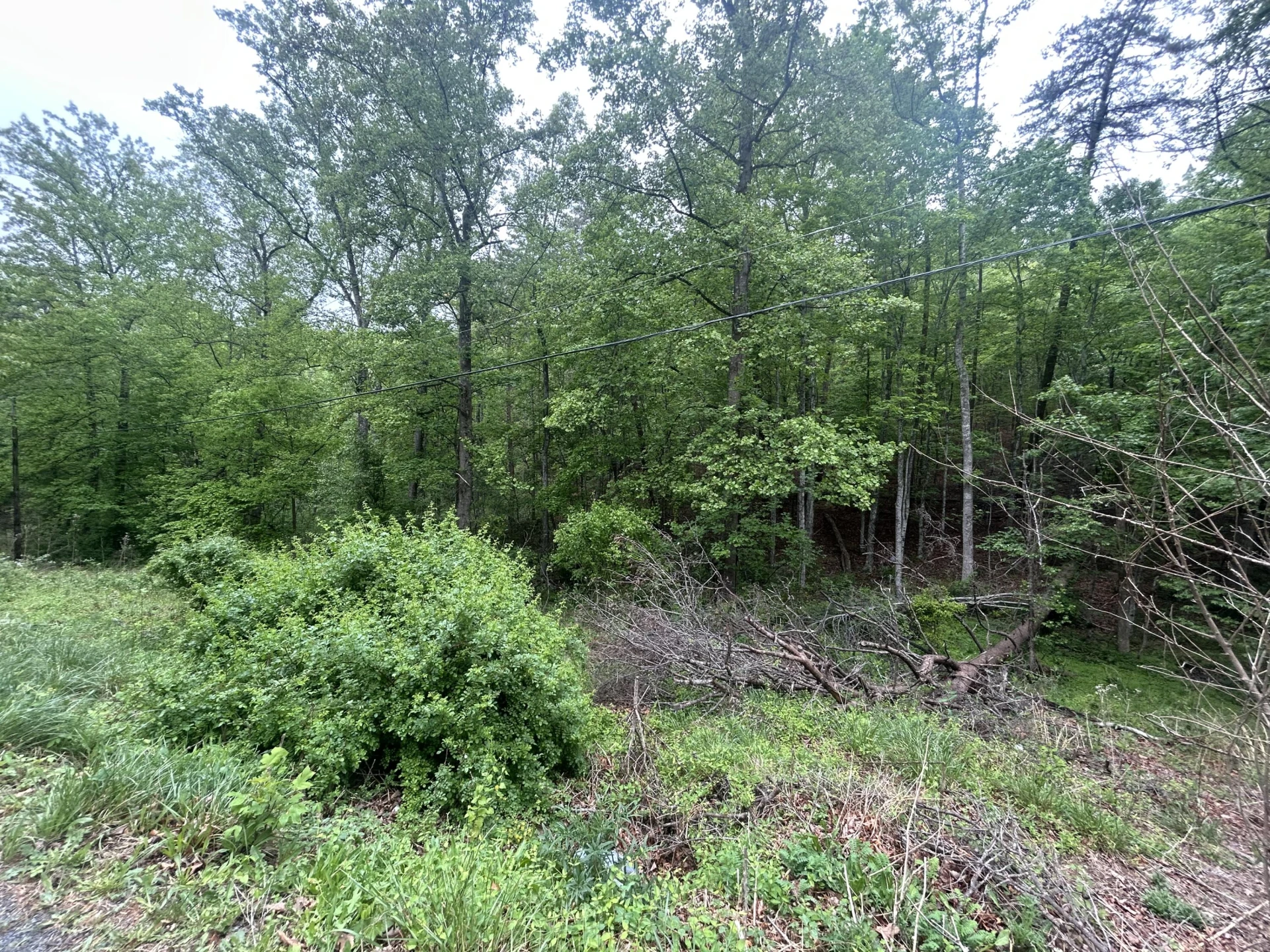 0 Timberview RD - Photo 3