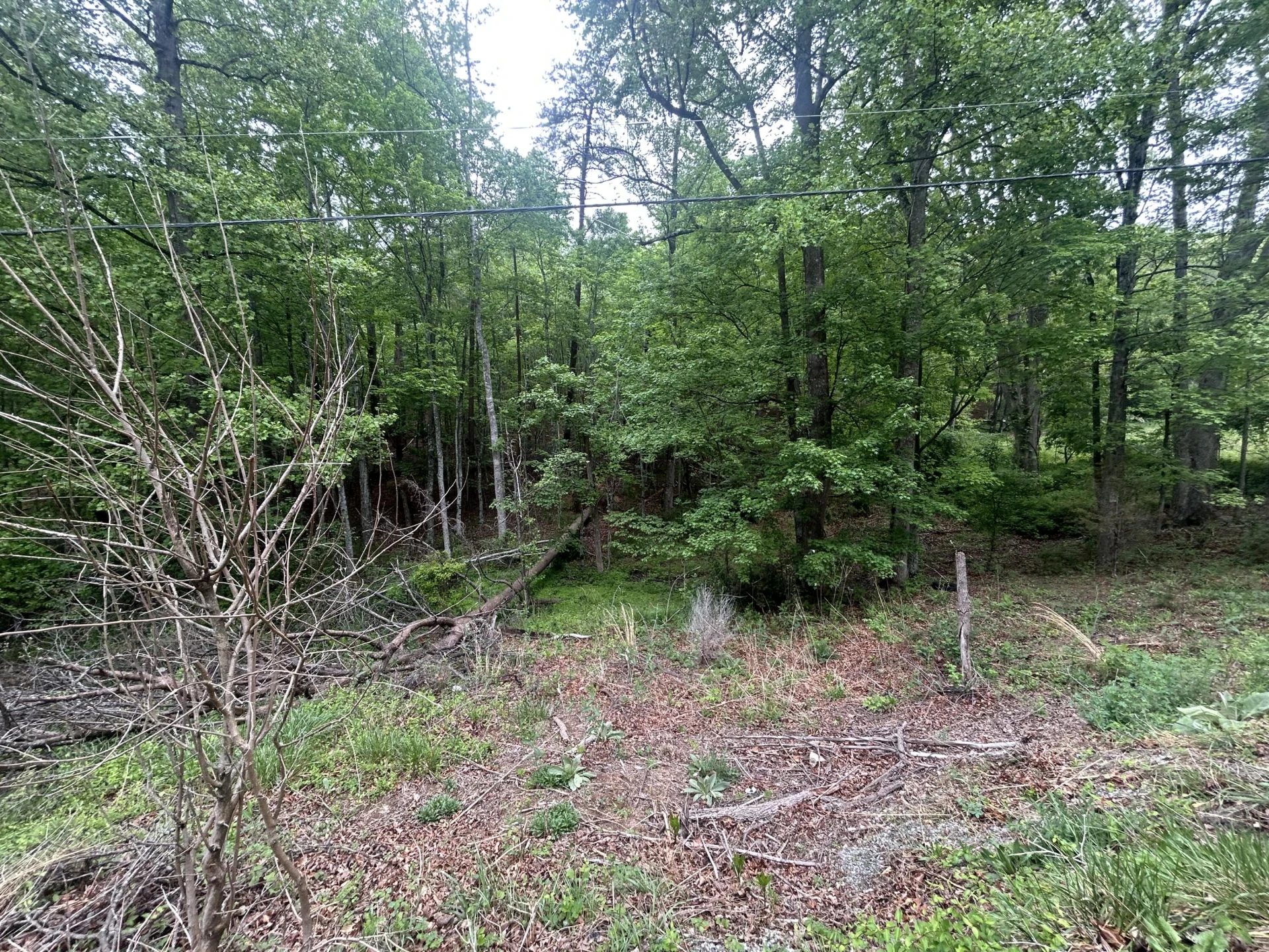 0 Timberview RD - Photo 4