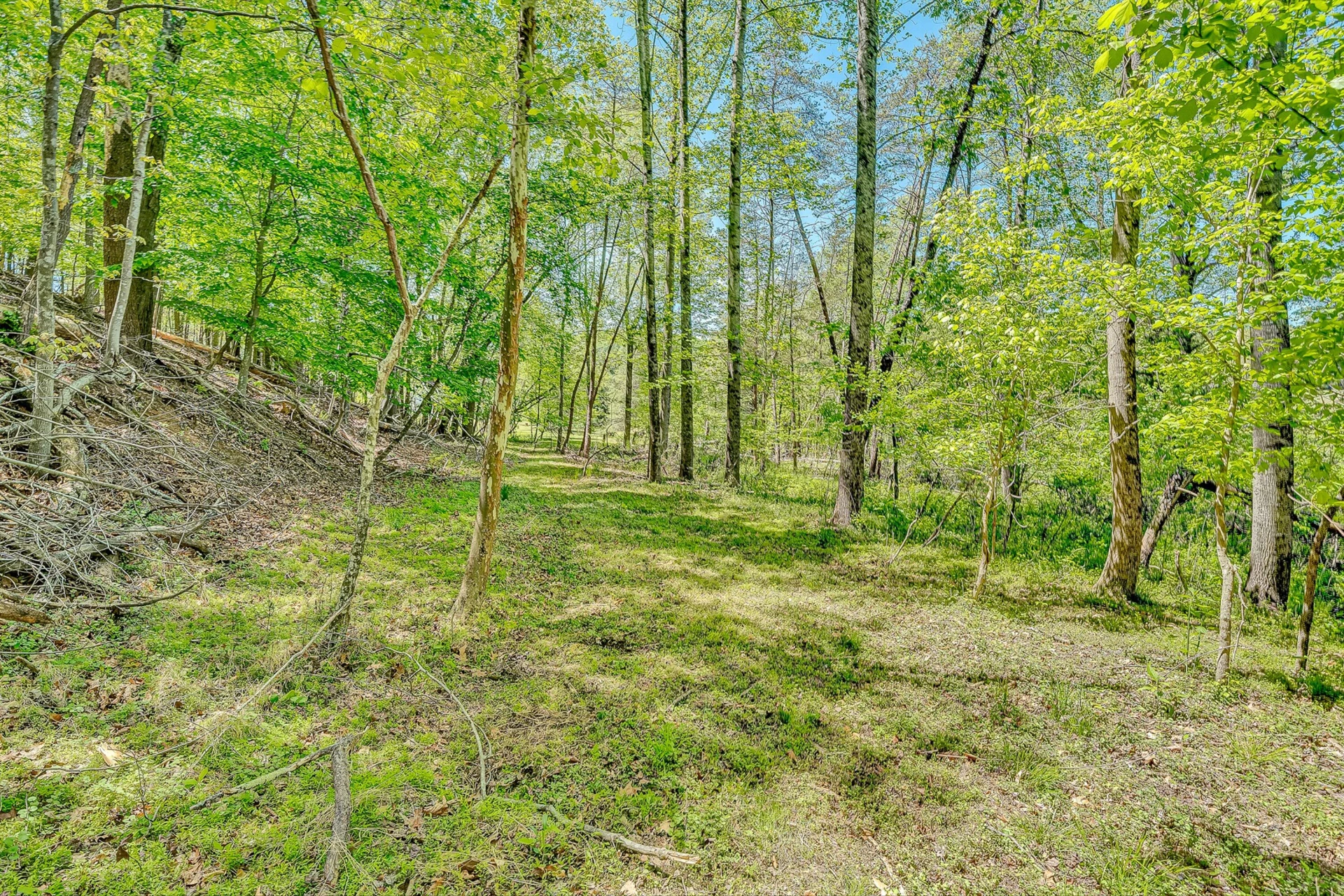 4758 Bandy RD - Photo 50