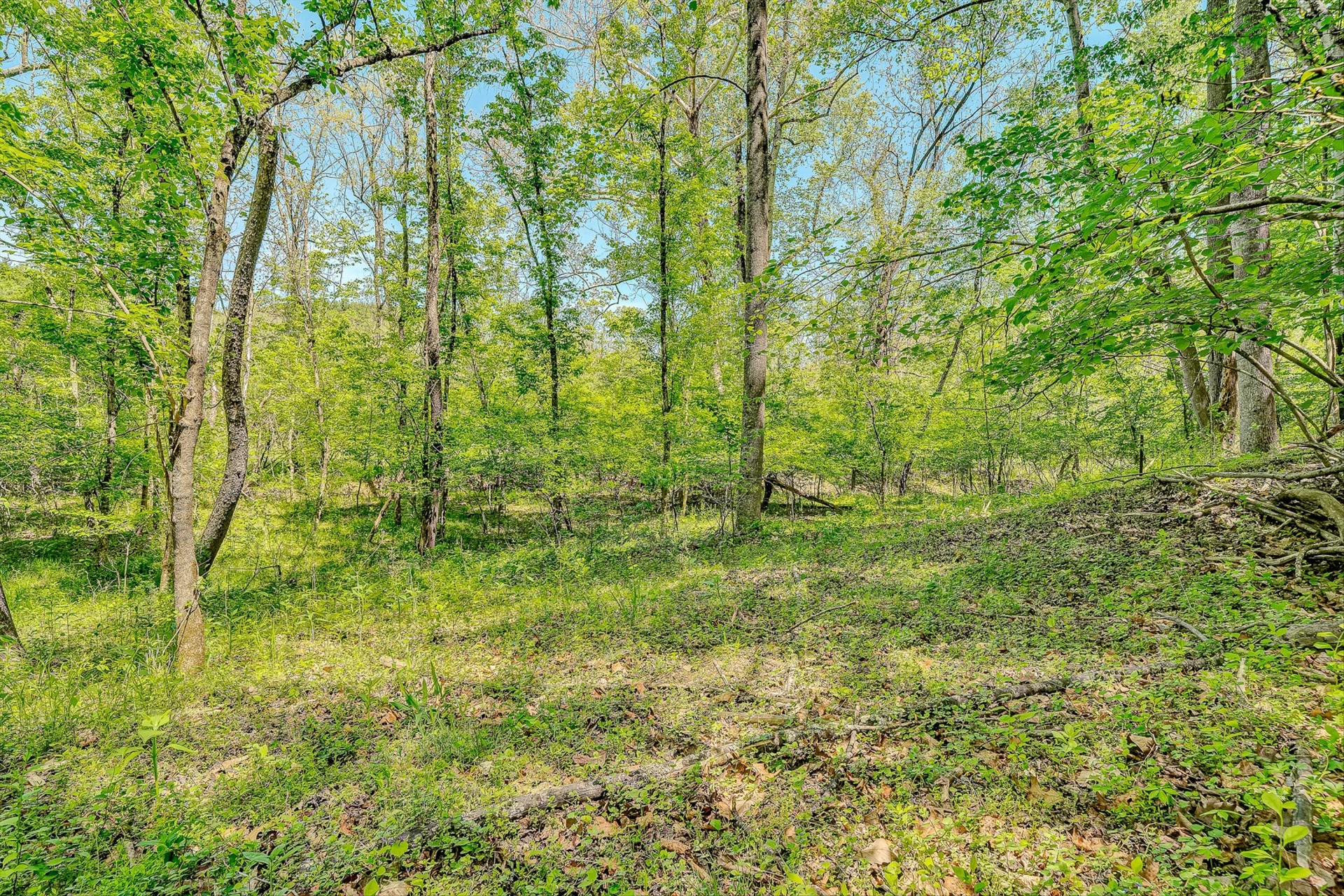 4758 Bandy RD - Photo 51