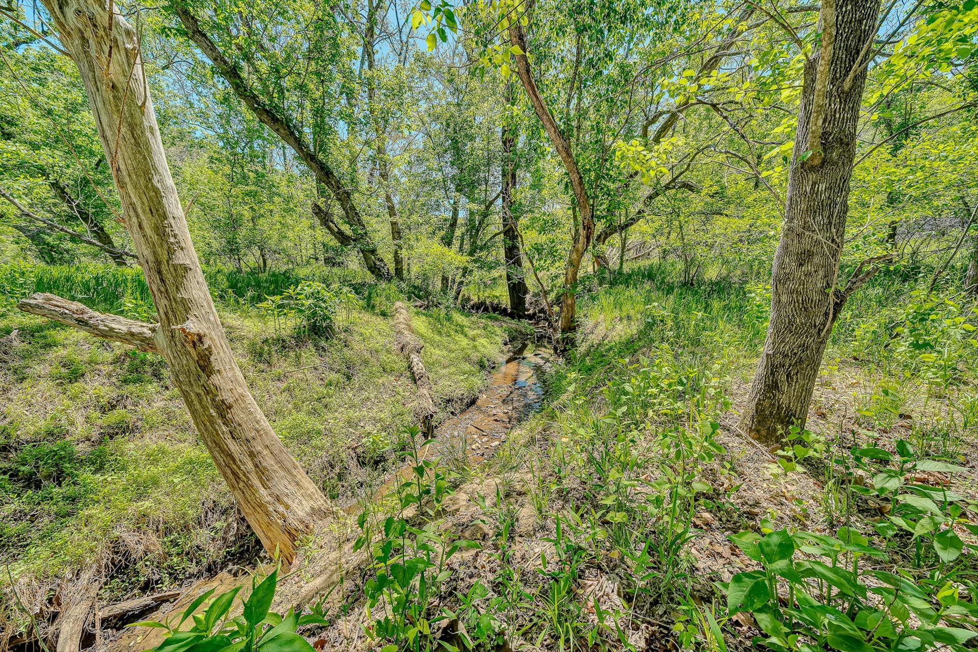 4758 Bandy RD - Photo 55
