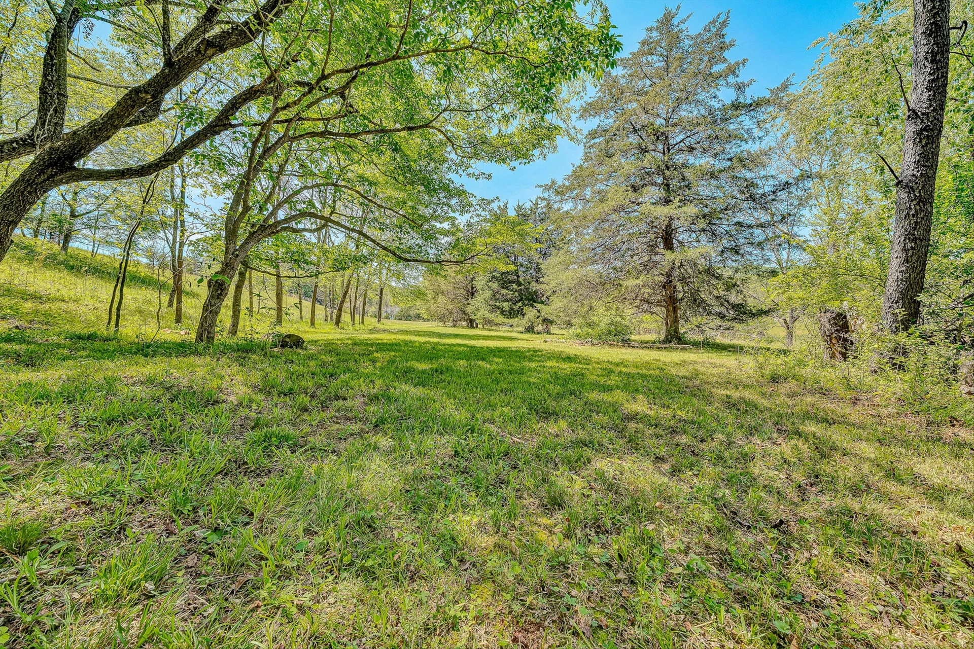 4758 Bandy RD - Photo 56