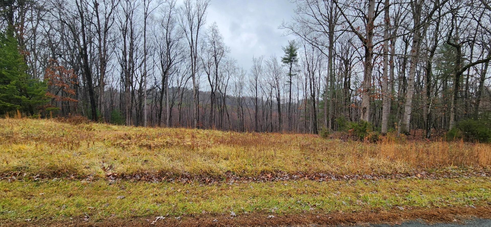 LOT 11 Woods Edge DR