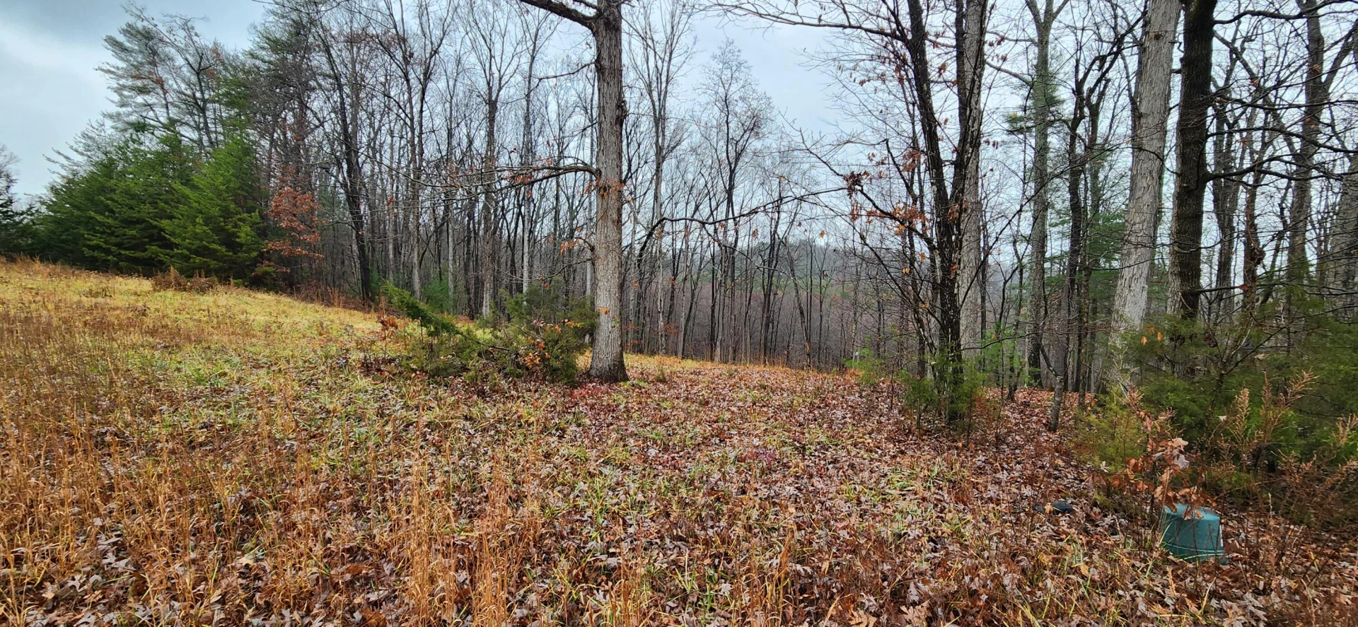 LOT 11 Woods Edge DR - Photo 3