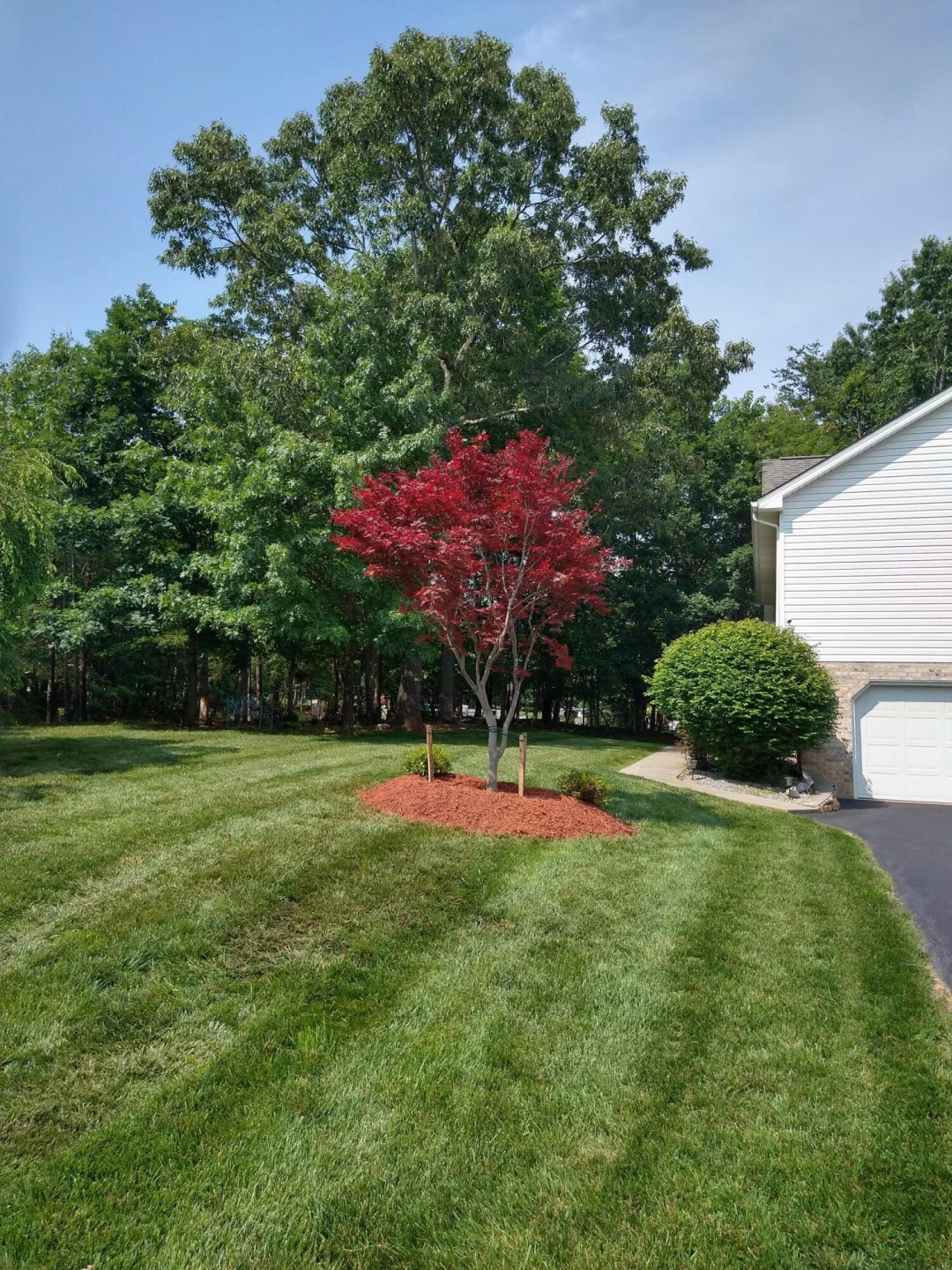 1204 Jewel TRL - Photo 58