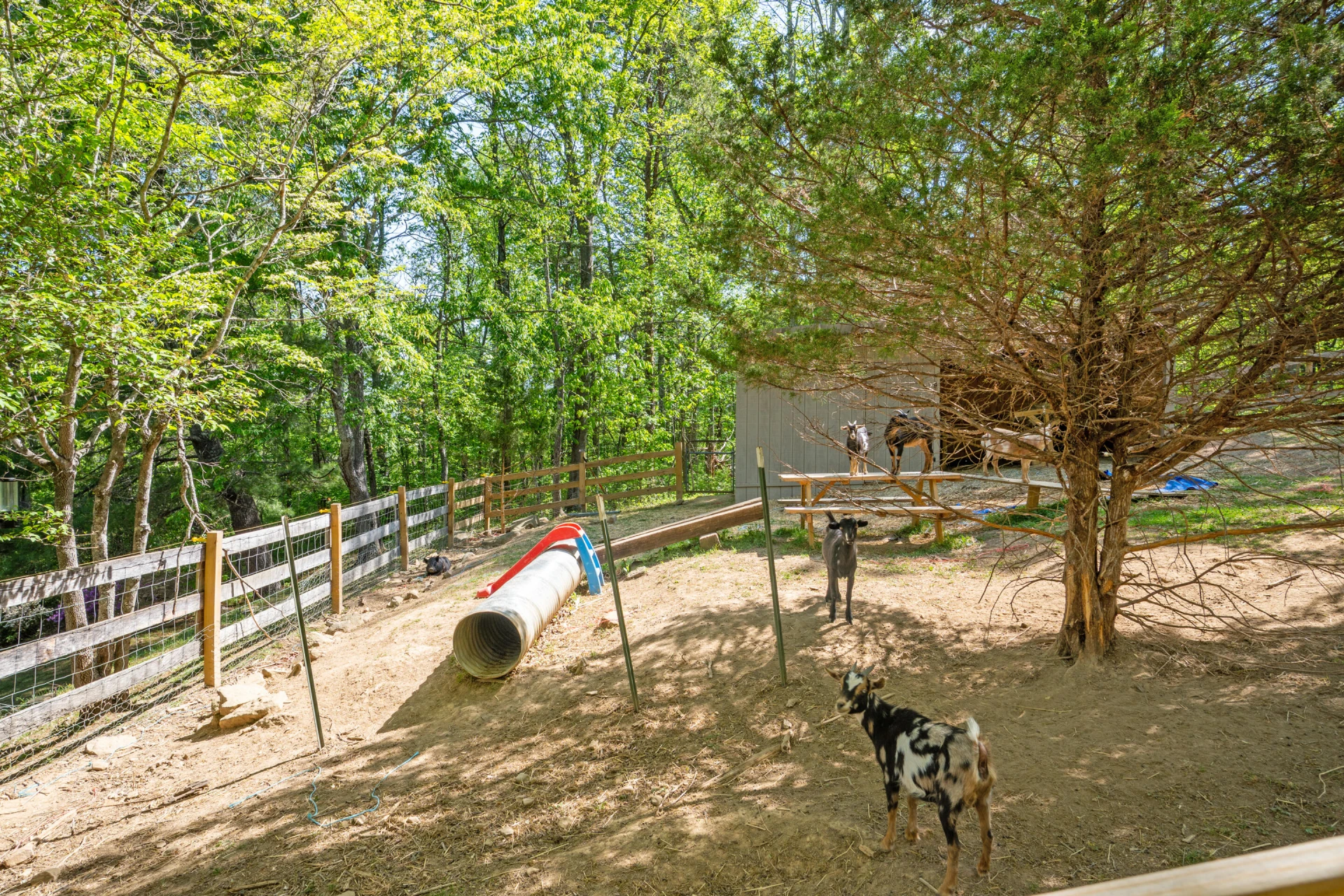 12639 Catawba RD - Photo 47