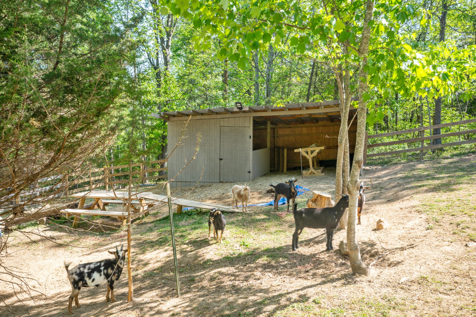 12639 Catawba RD - Photo 48