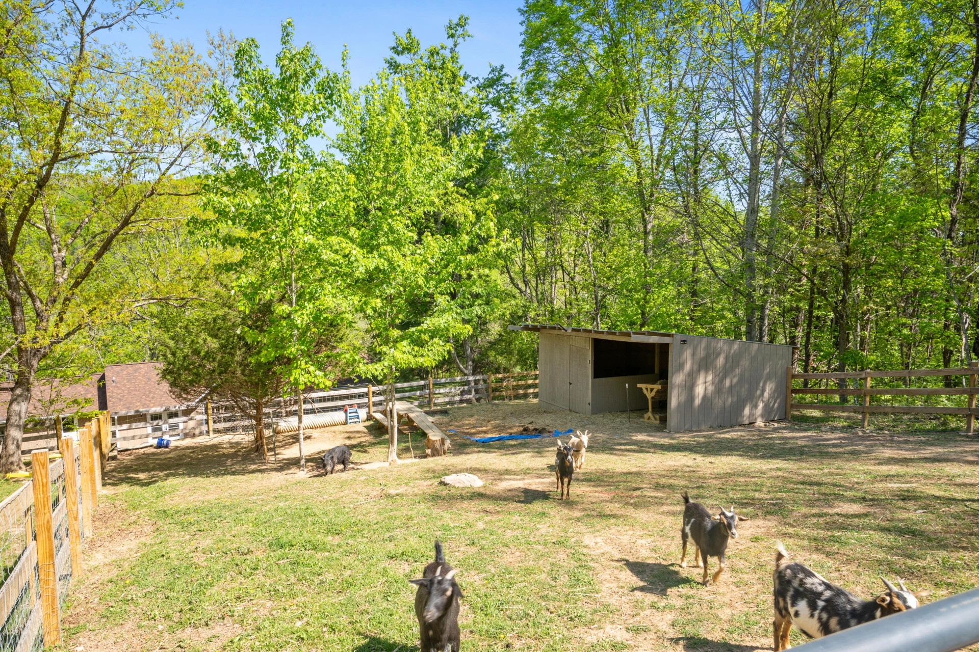 12639 Catawba RD - Photo 49