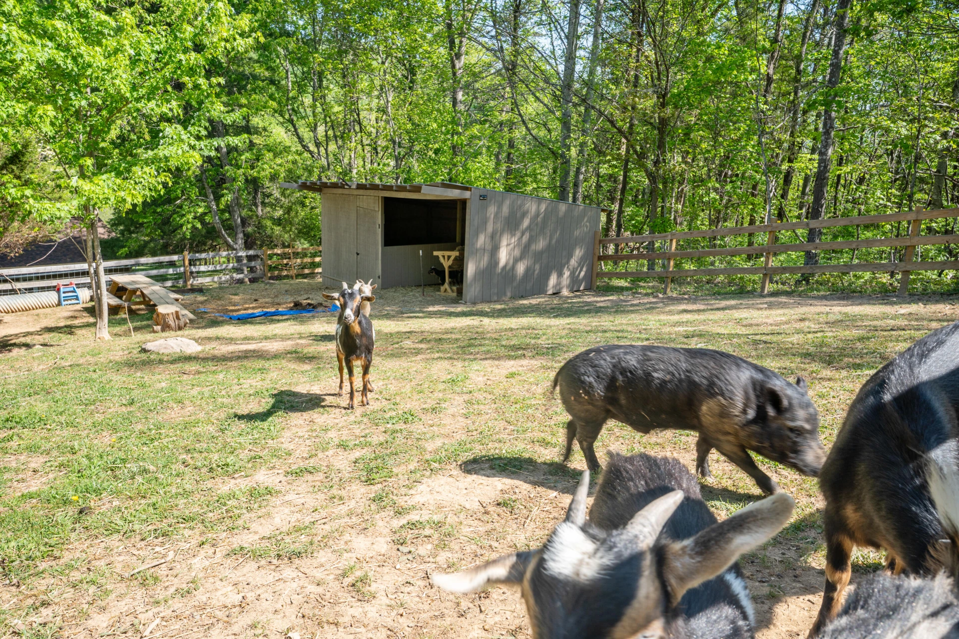 12639 Catawba RD - Photo 50