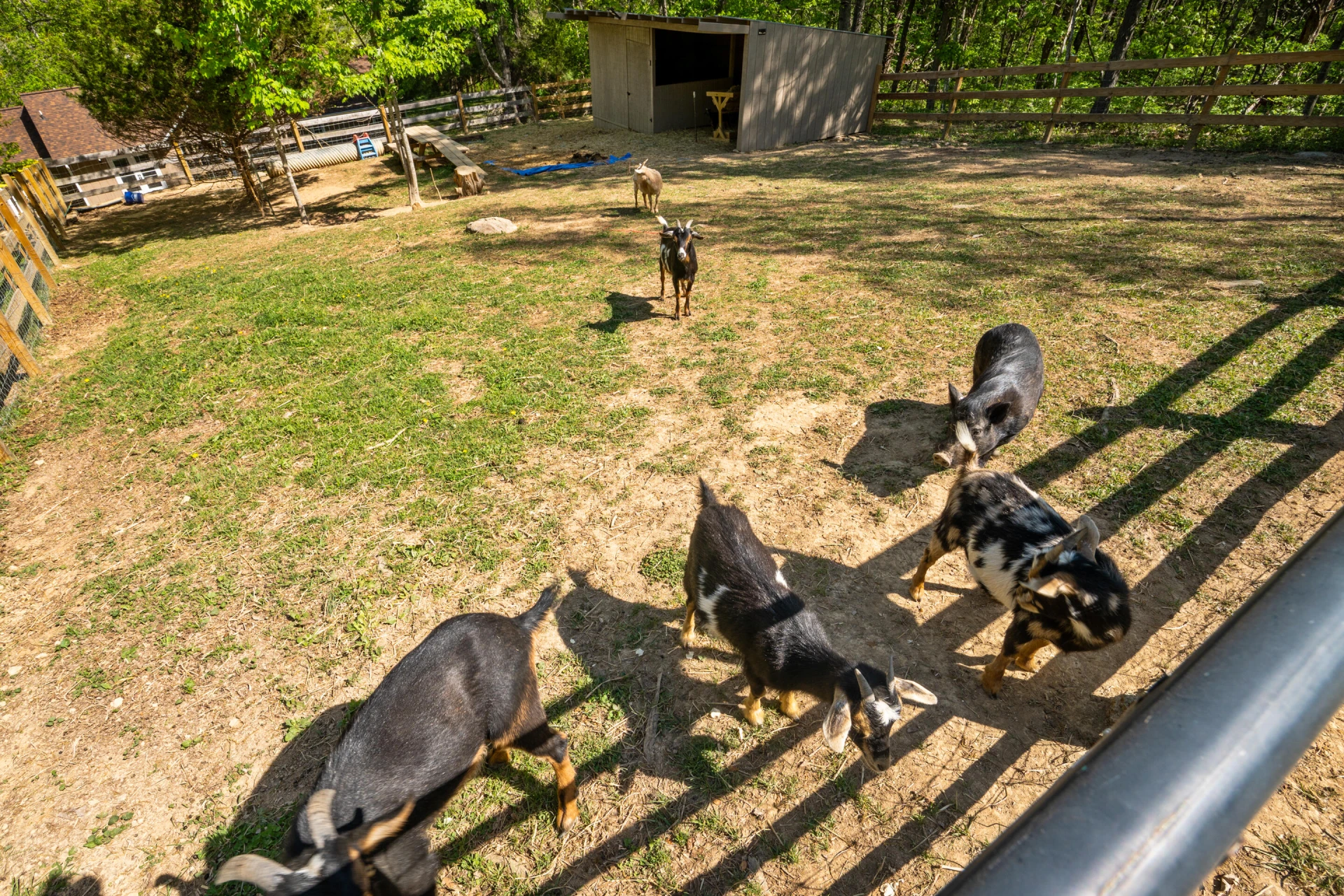 12639 Catawba RD - Photo 51