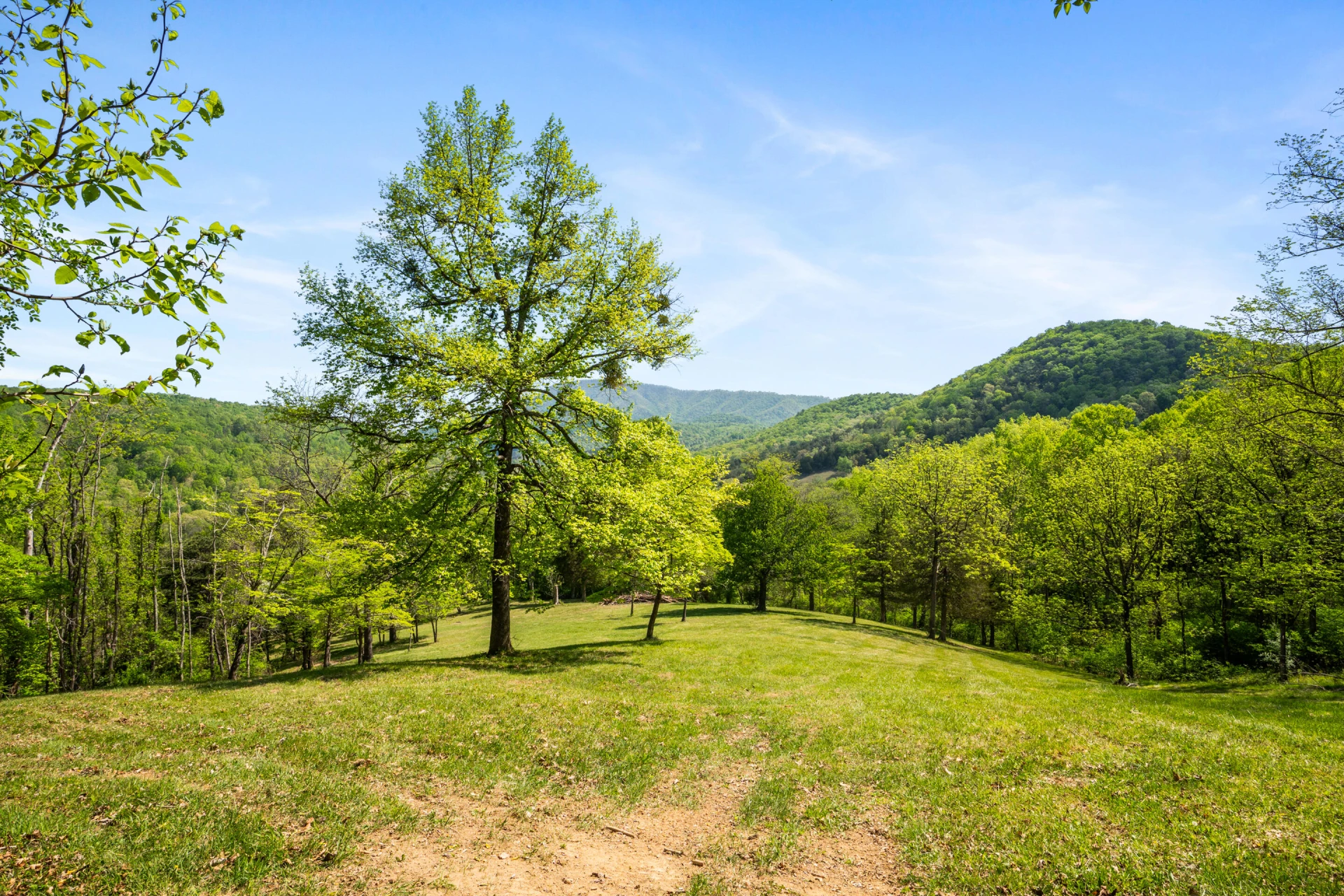 12639 Catawba RD - Photo 66