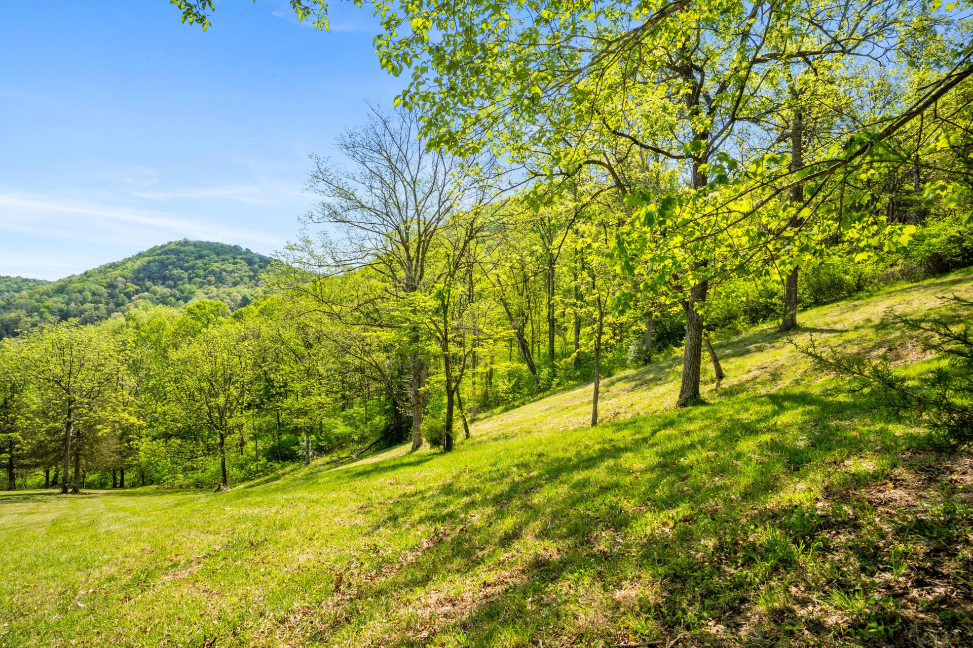 12639 Catawba RD - Photo 67
