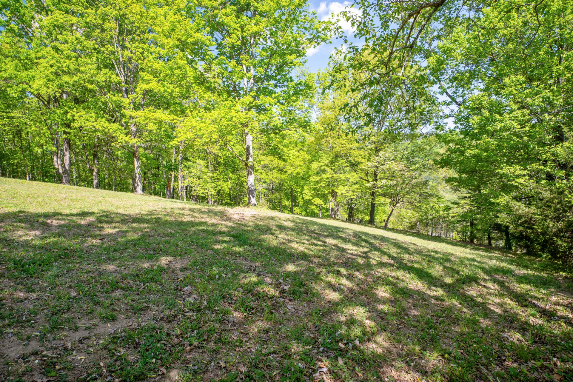 12639 Catawba RD - Photo 69