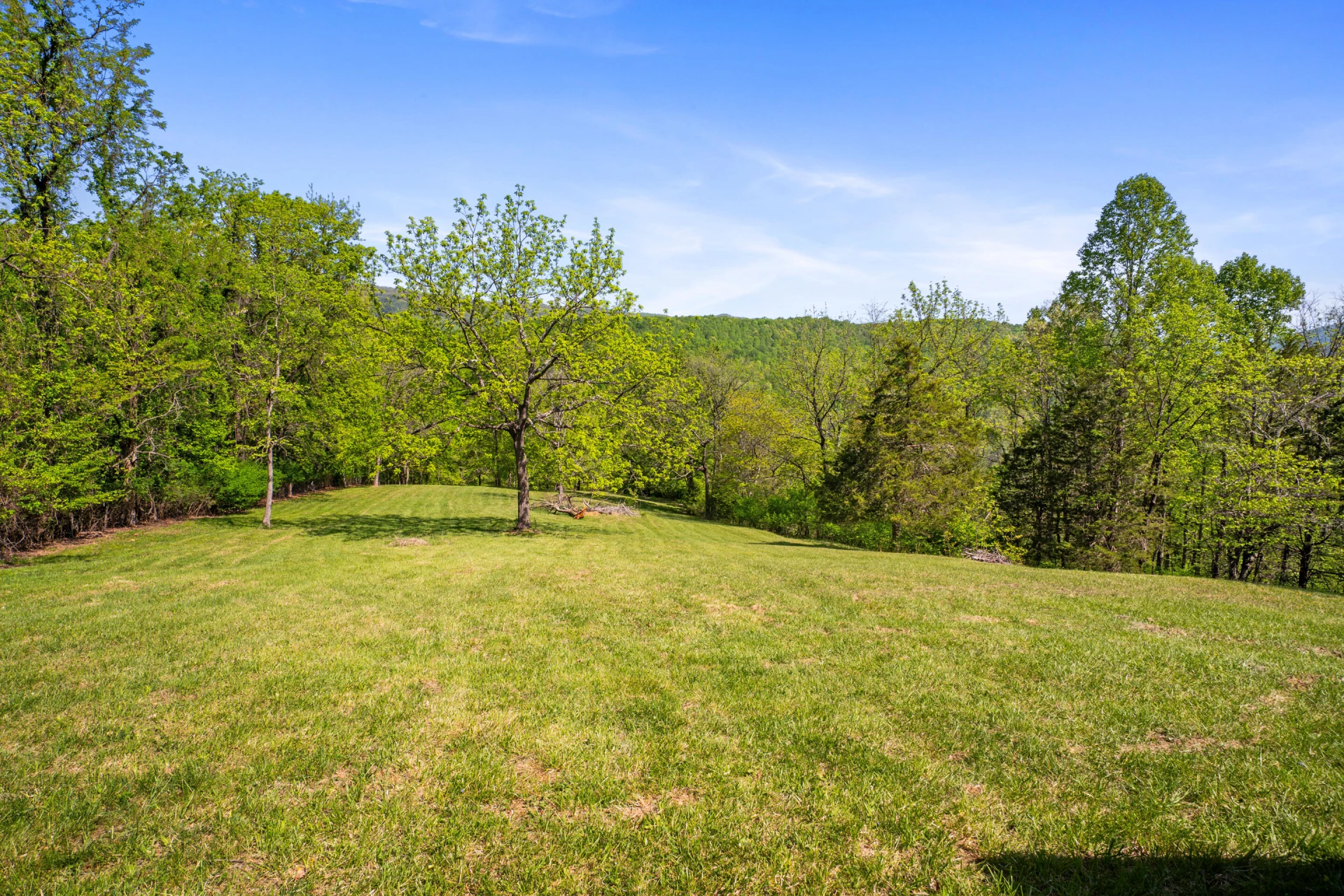 12639 Catawba RD - Photo 70