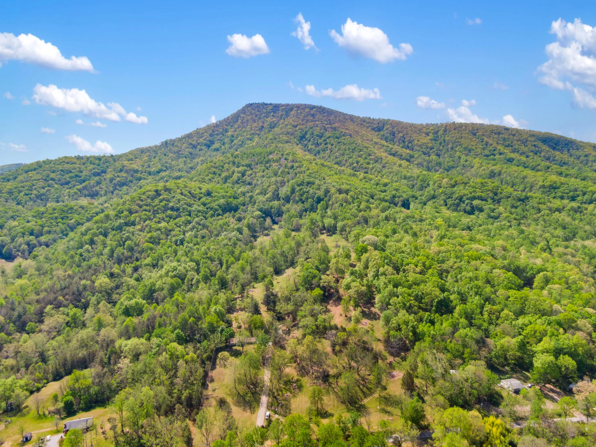 12639 Catawba RD - Photo 72