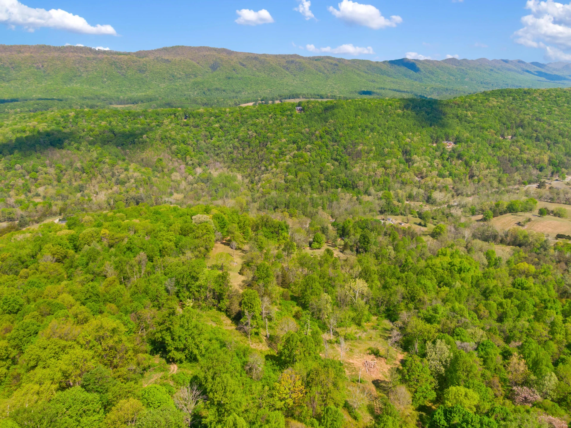 12639 Catawba RD - Photo 79