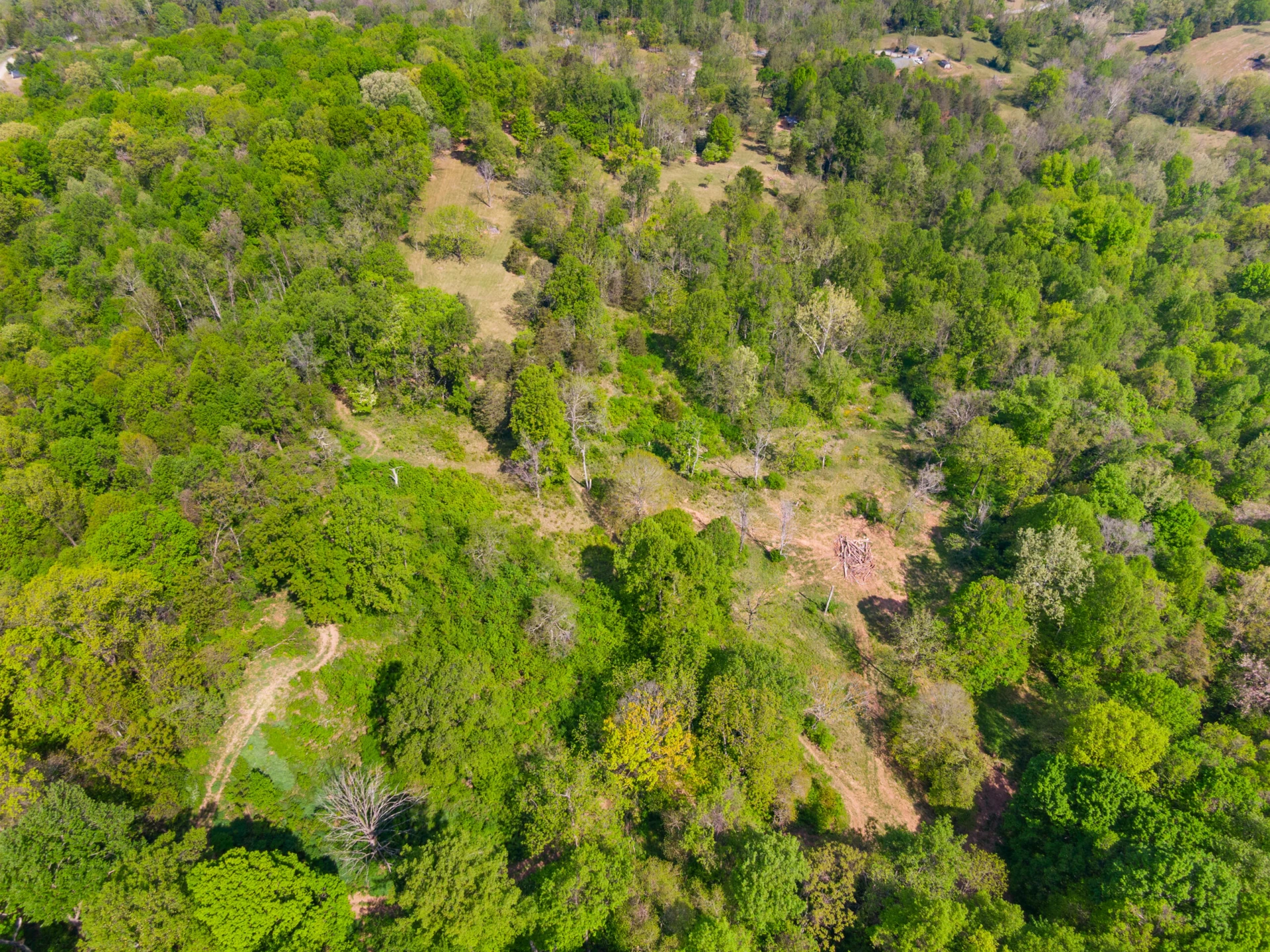 12639 Catawba RD - Photo 80
