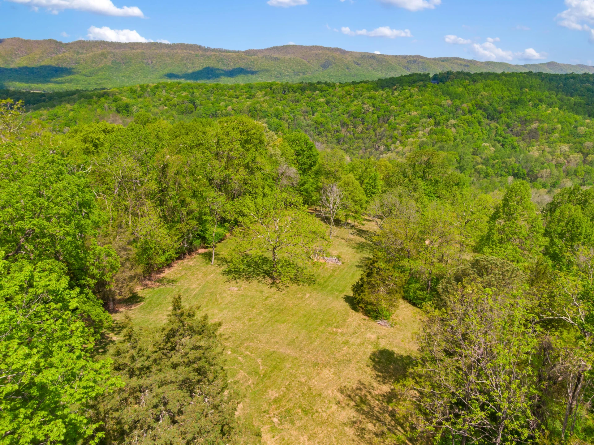 12639 Catawba RD - Photo 85