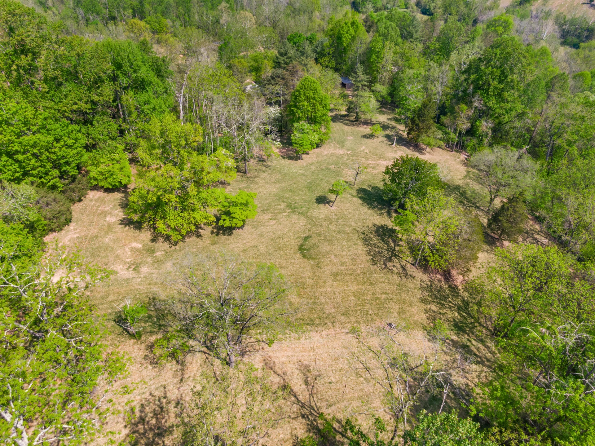 12639 Catawba RD - Photo 86