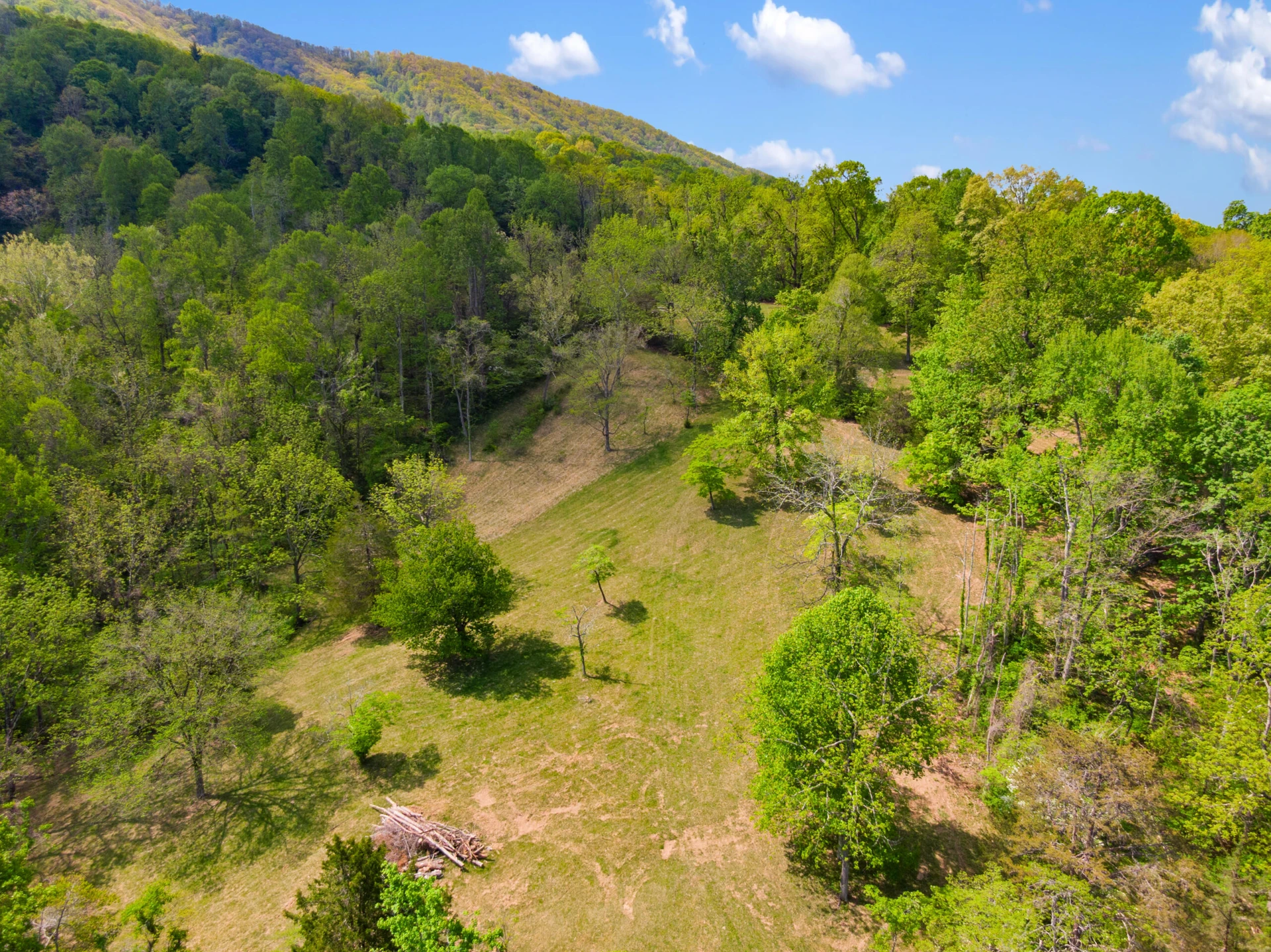 12639 Catawba RD - Photo 88