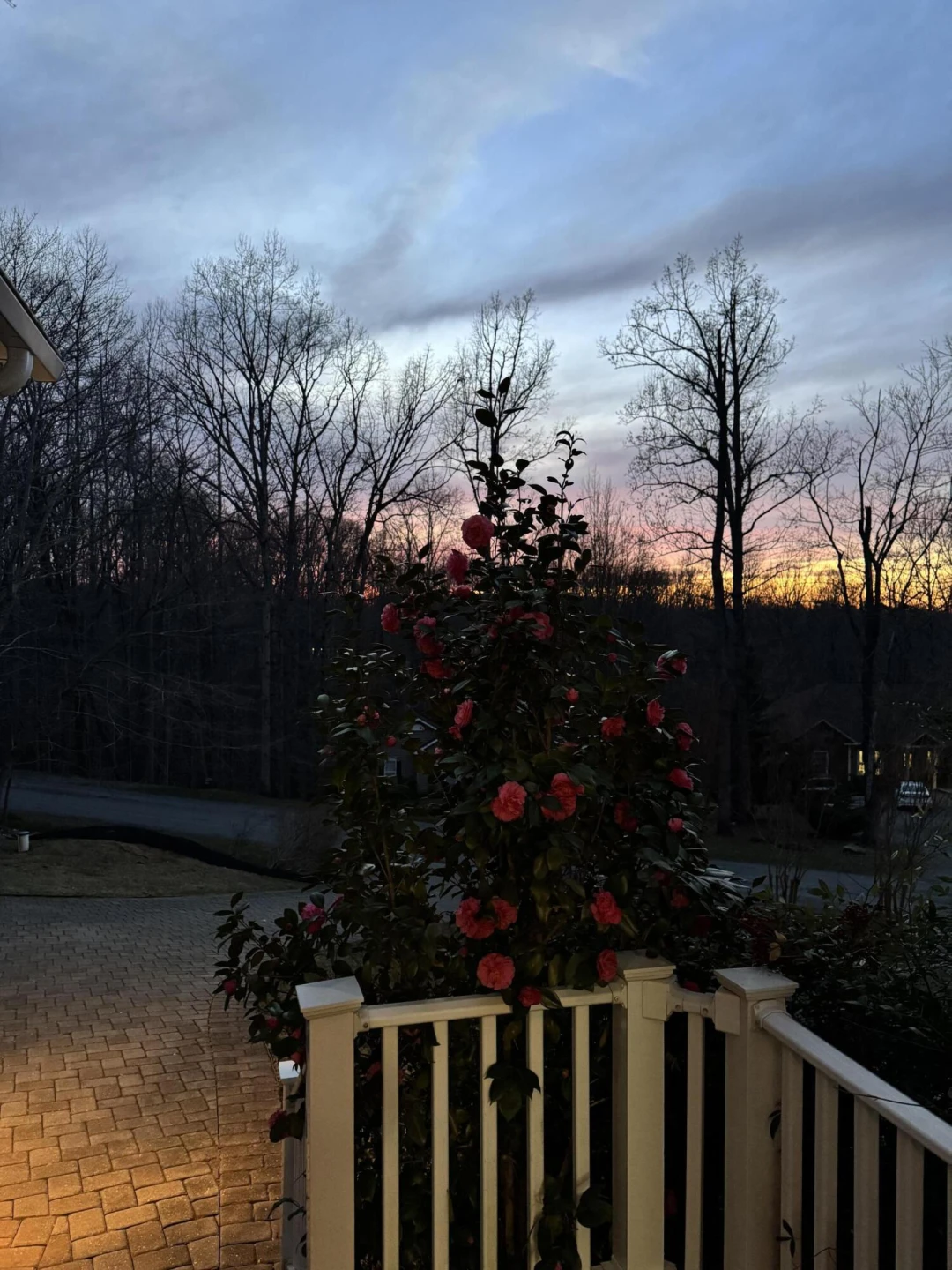 100 Waterside DR - Photo 48