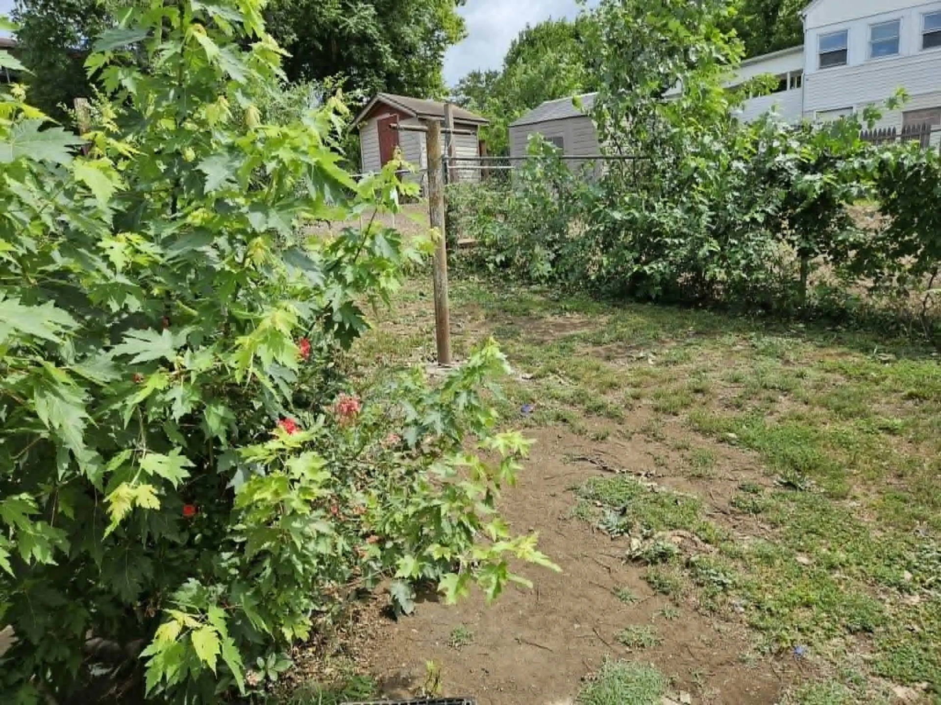1218 6th ST SE - Photo 18