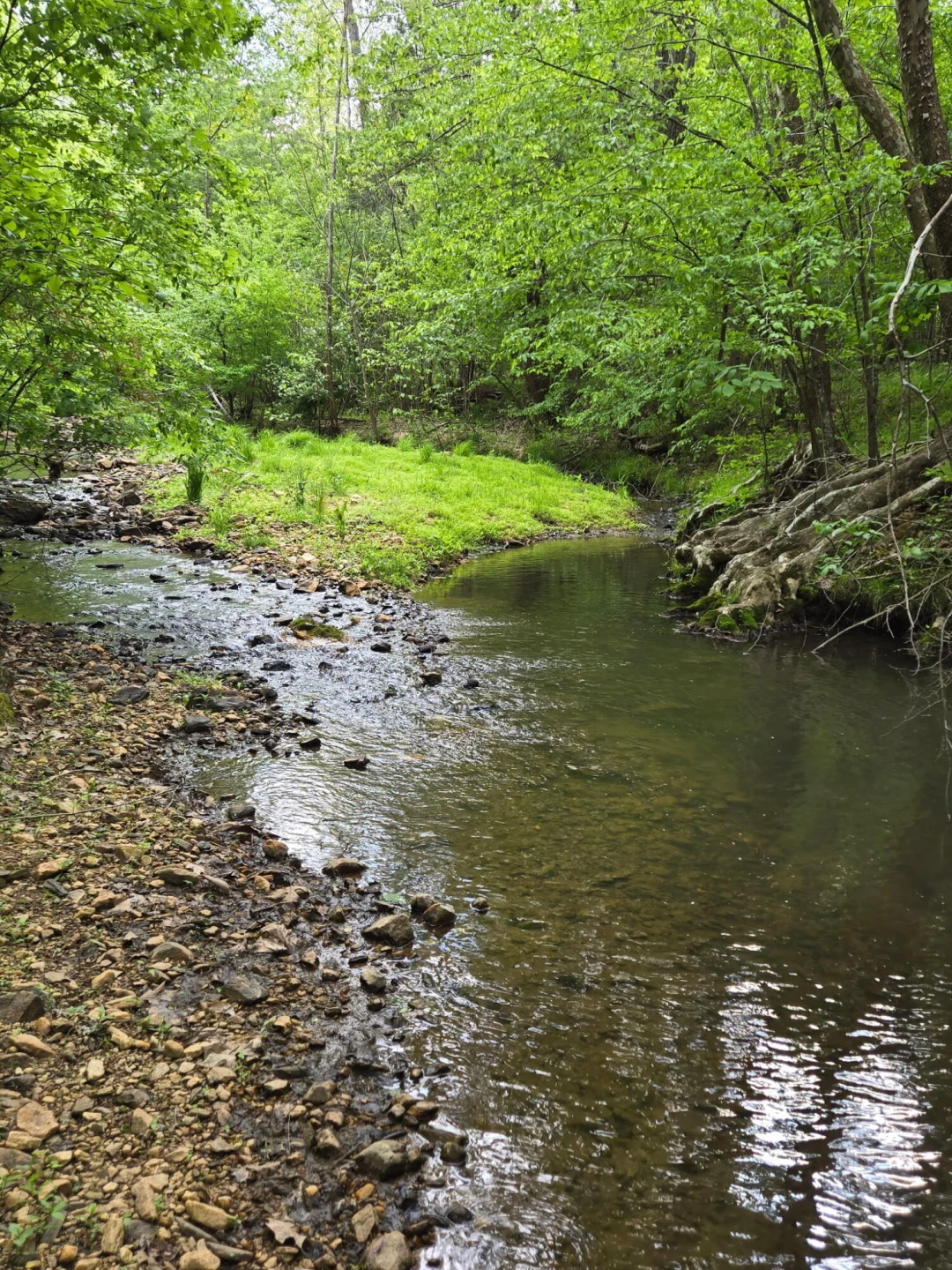 0 Webster RD - Photo 10
