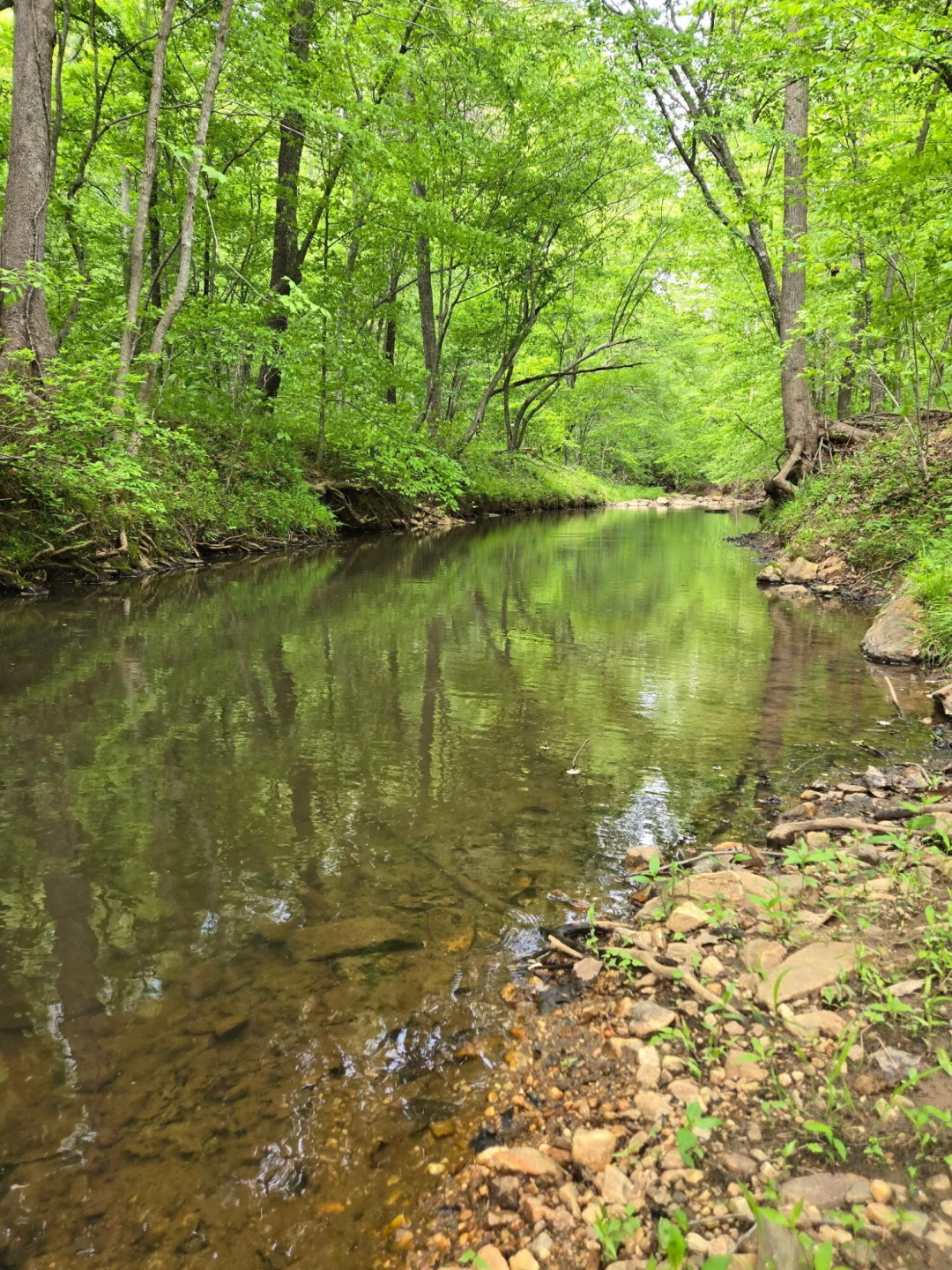 0 Webster RD - Photo 11