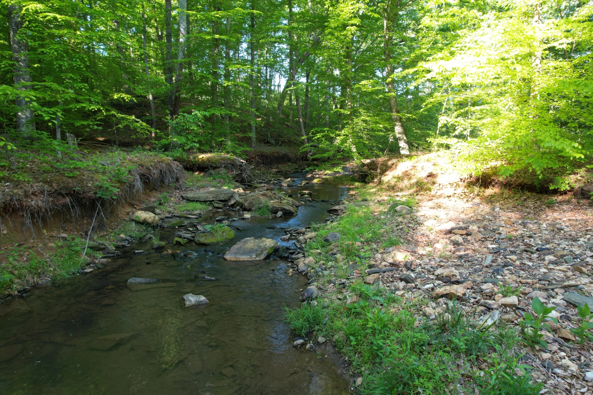 0 Webster RD - Photo 24