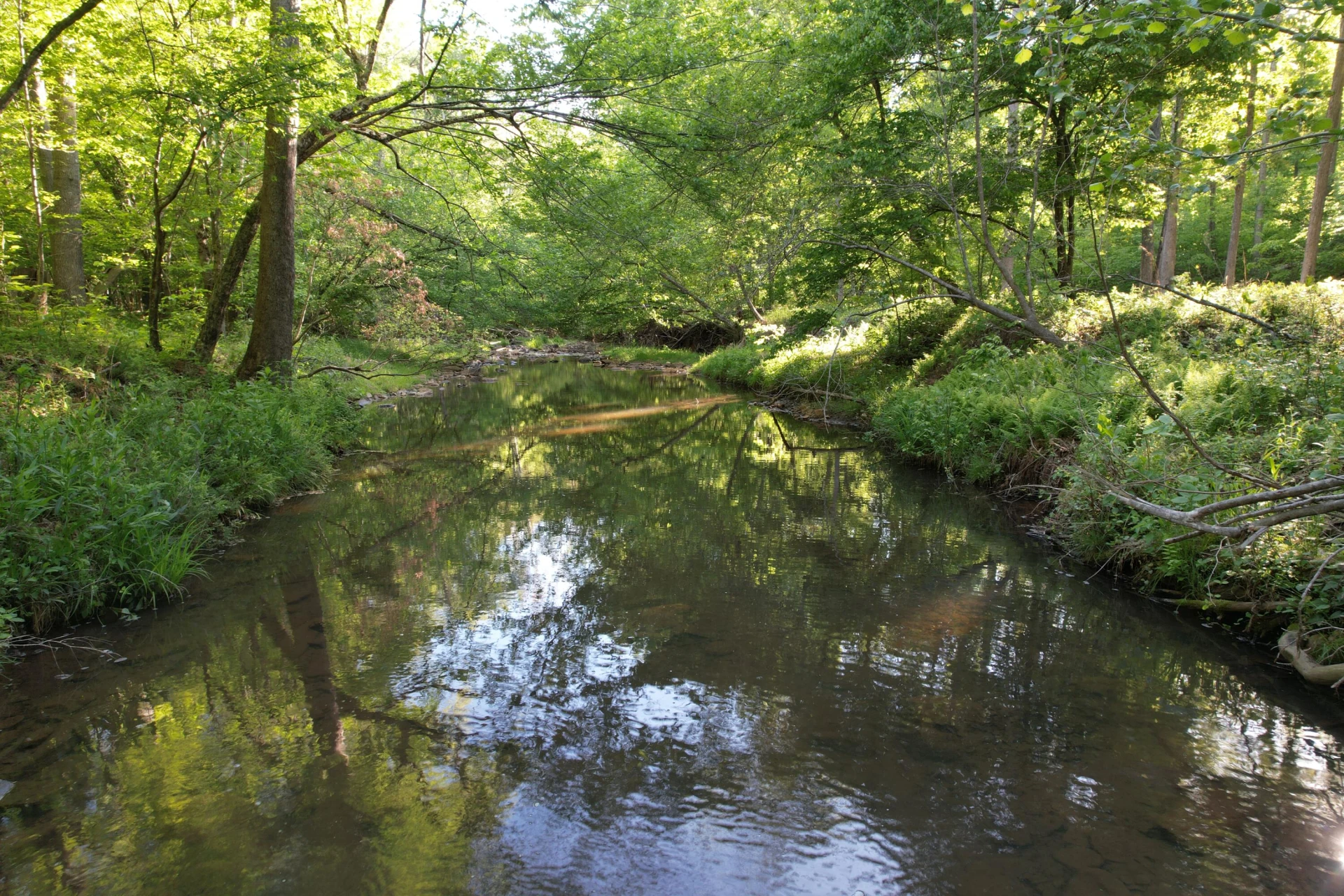 0 Webster RD - Photo 27